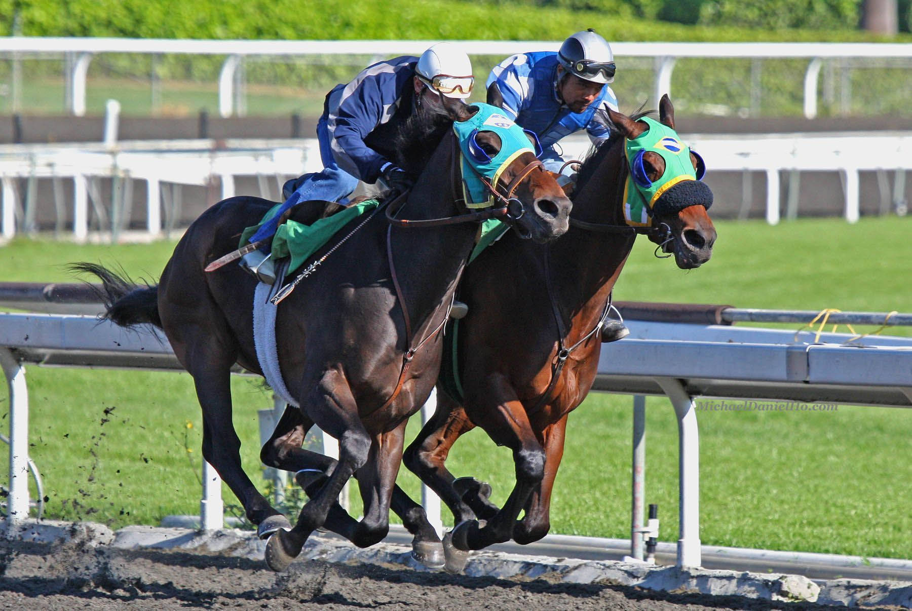blue silks, dark horses, muddy track, HD Desktop Wallpaper