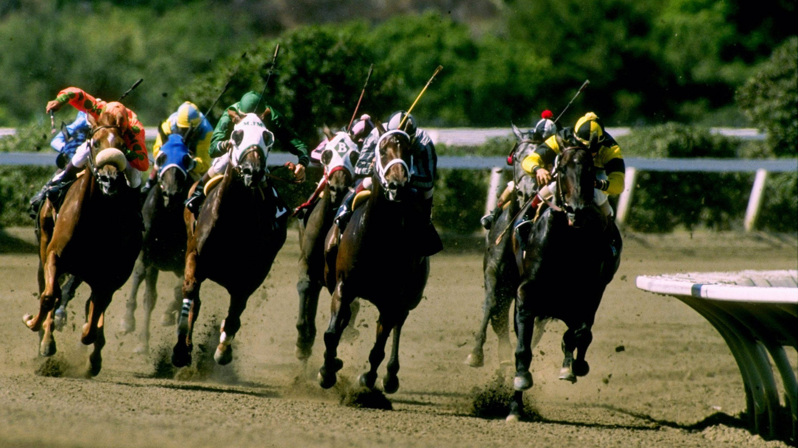 horse racing field, dirt track, colorful silks, 2K Desktop Wallpaper