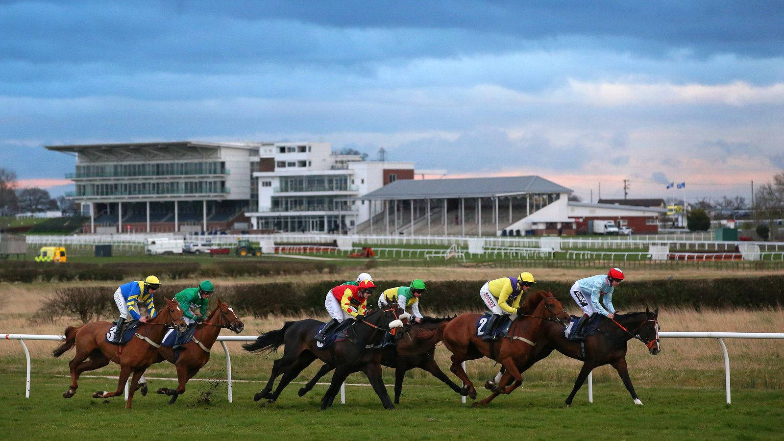 horse racing, thoroughbreds, grass track, HD Desktop Wallpaper