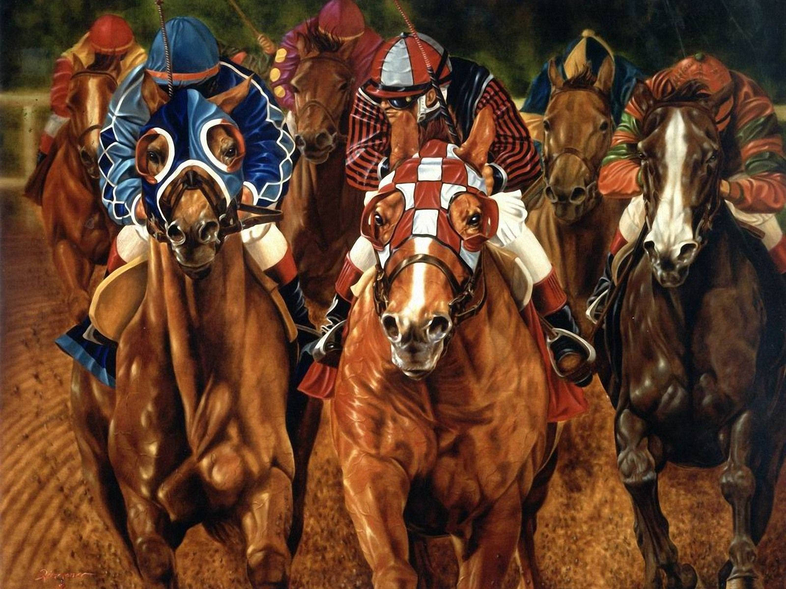 horse racing, jockeys, colorful silks, HD Desktop Wallpaper