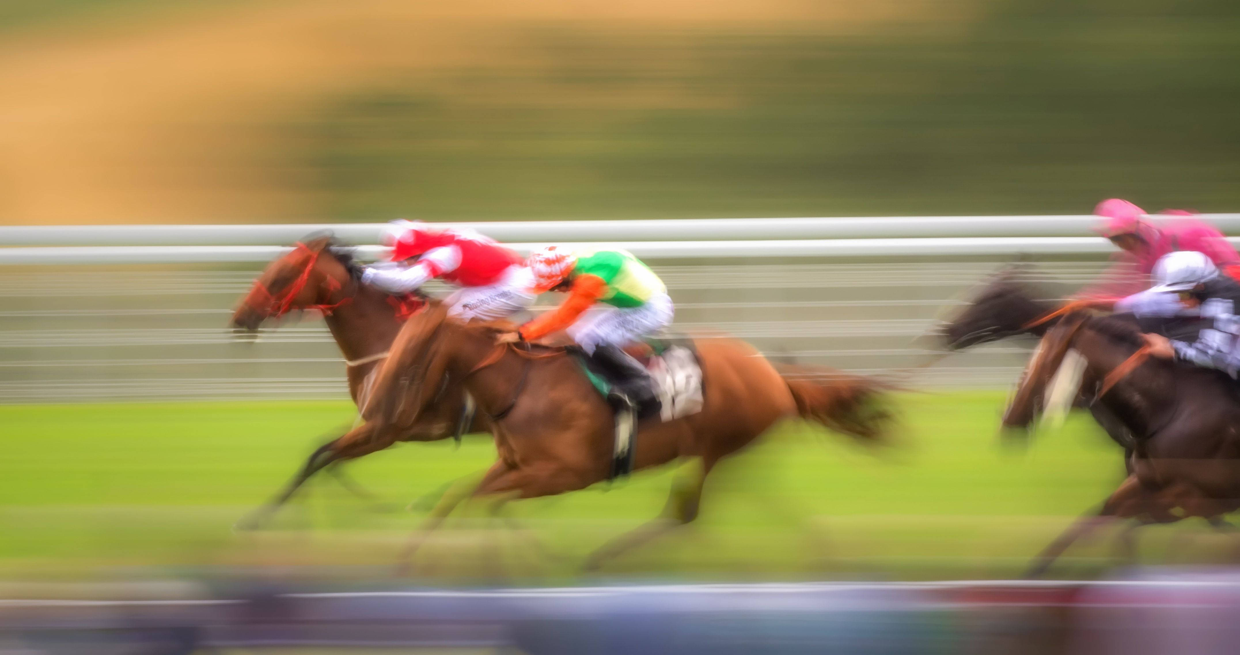 horse racing competition, colorful silks, green track, 4K Desktop Wallpaper