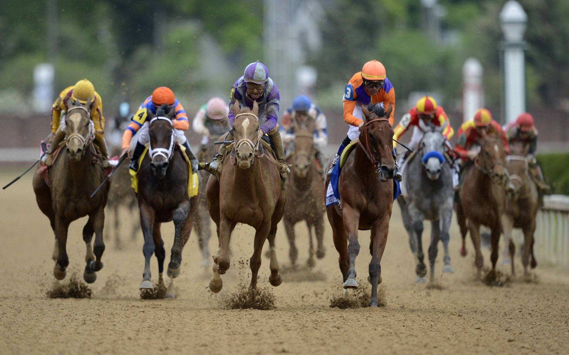 Horse racing, thoroughbreds, dirt track, Full HD Desktop Wallpaper