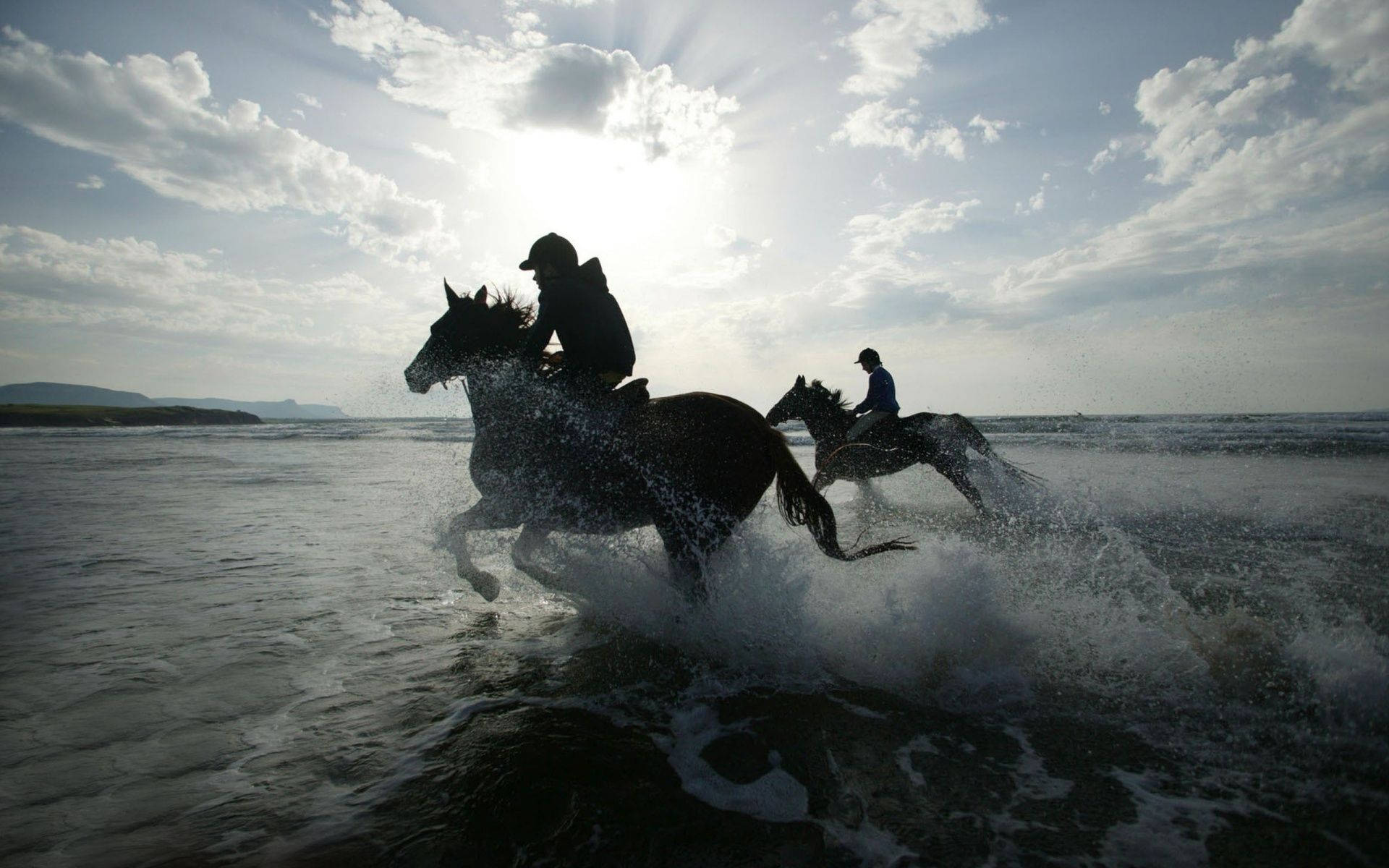 horse racing, ocean, shallow ocean water, Full HD Desktop Wallpaper