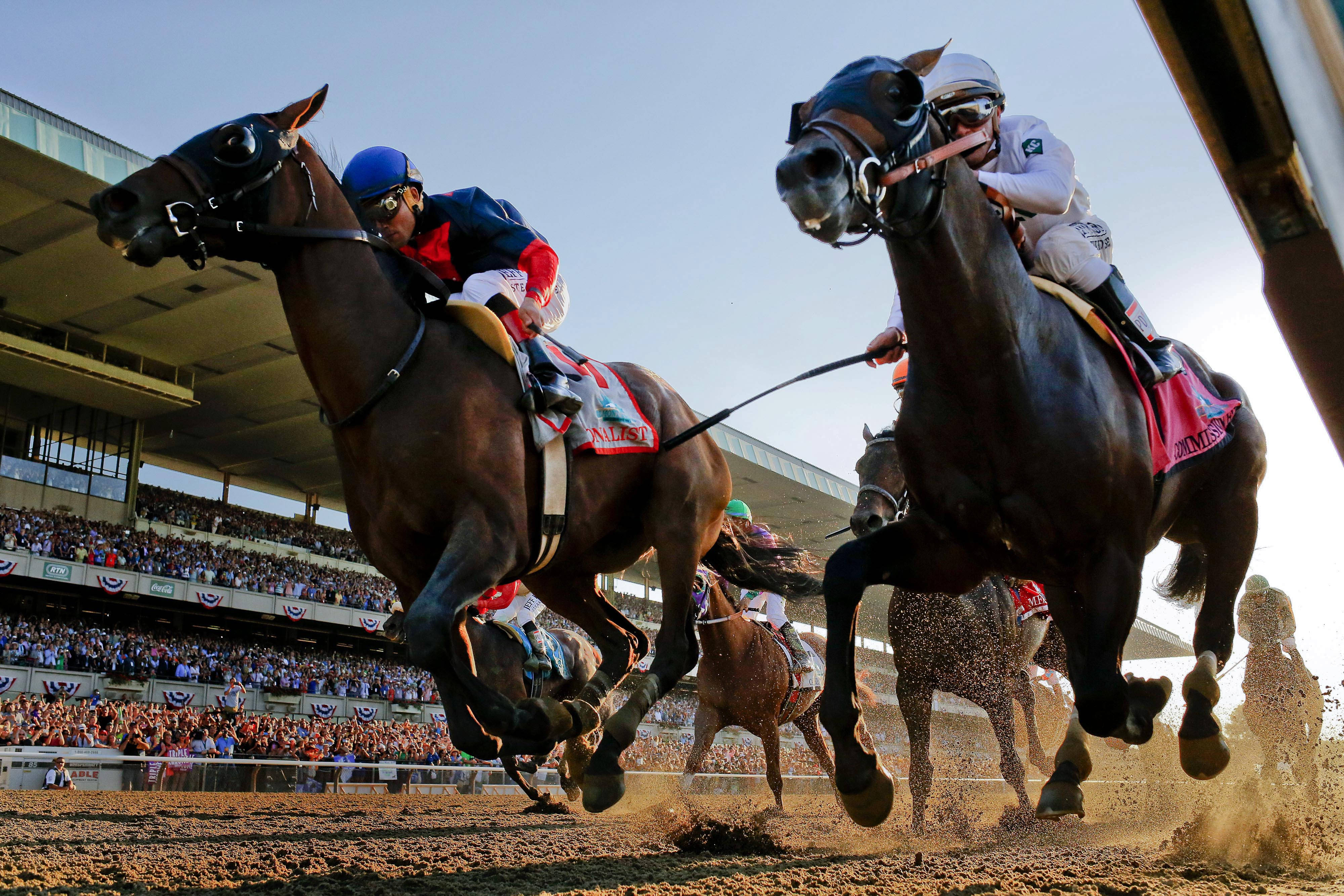 horse racing, clear sky, thoroughbreds, 4K Desktop Wallpaper