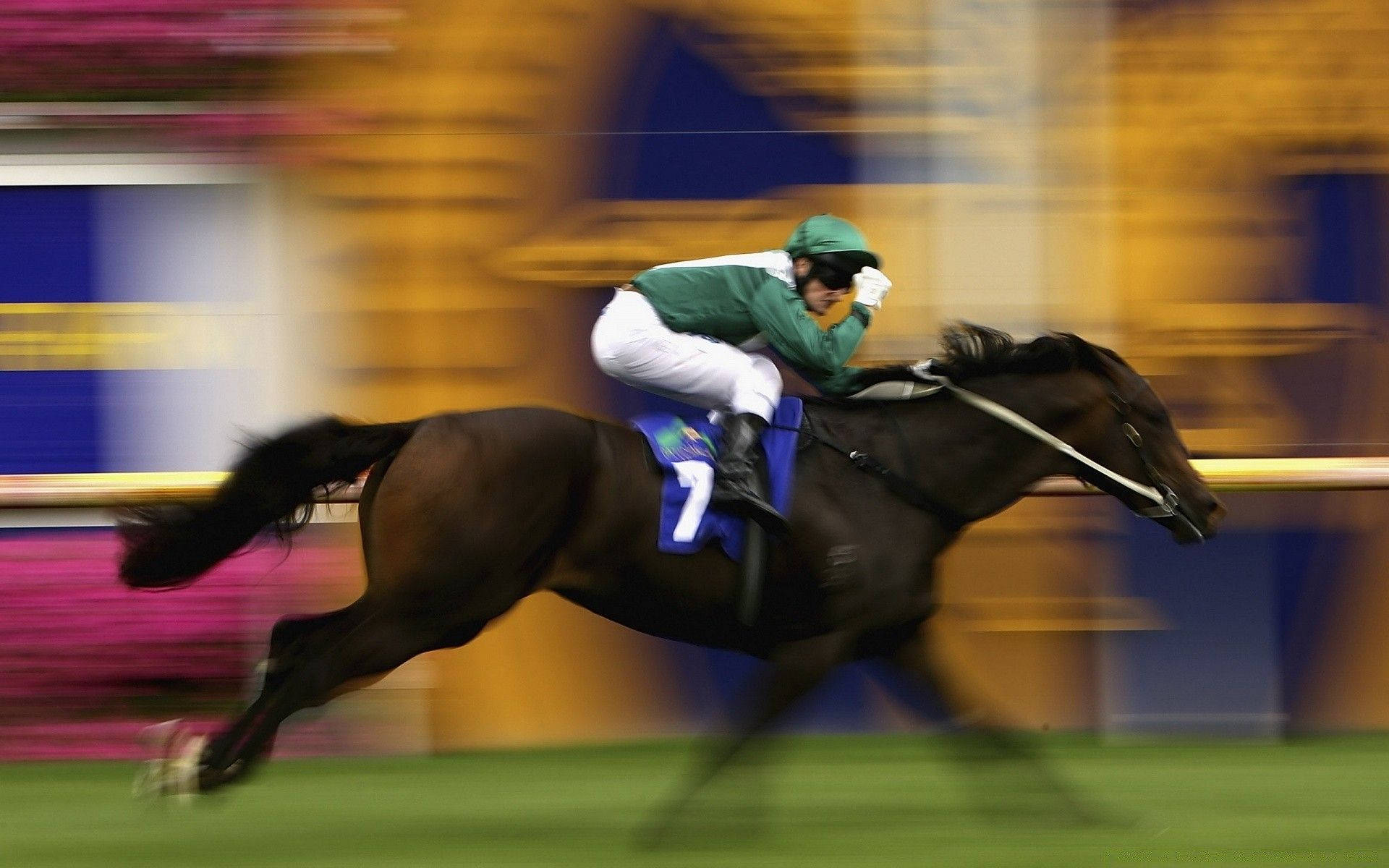black horse, green and white jockey, dark horse, Full HD Desktop Wallpaper