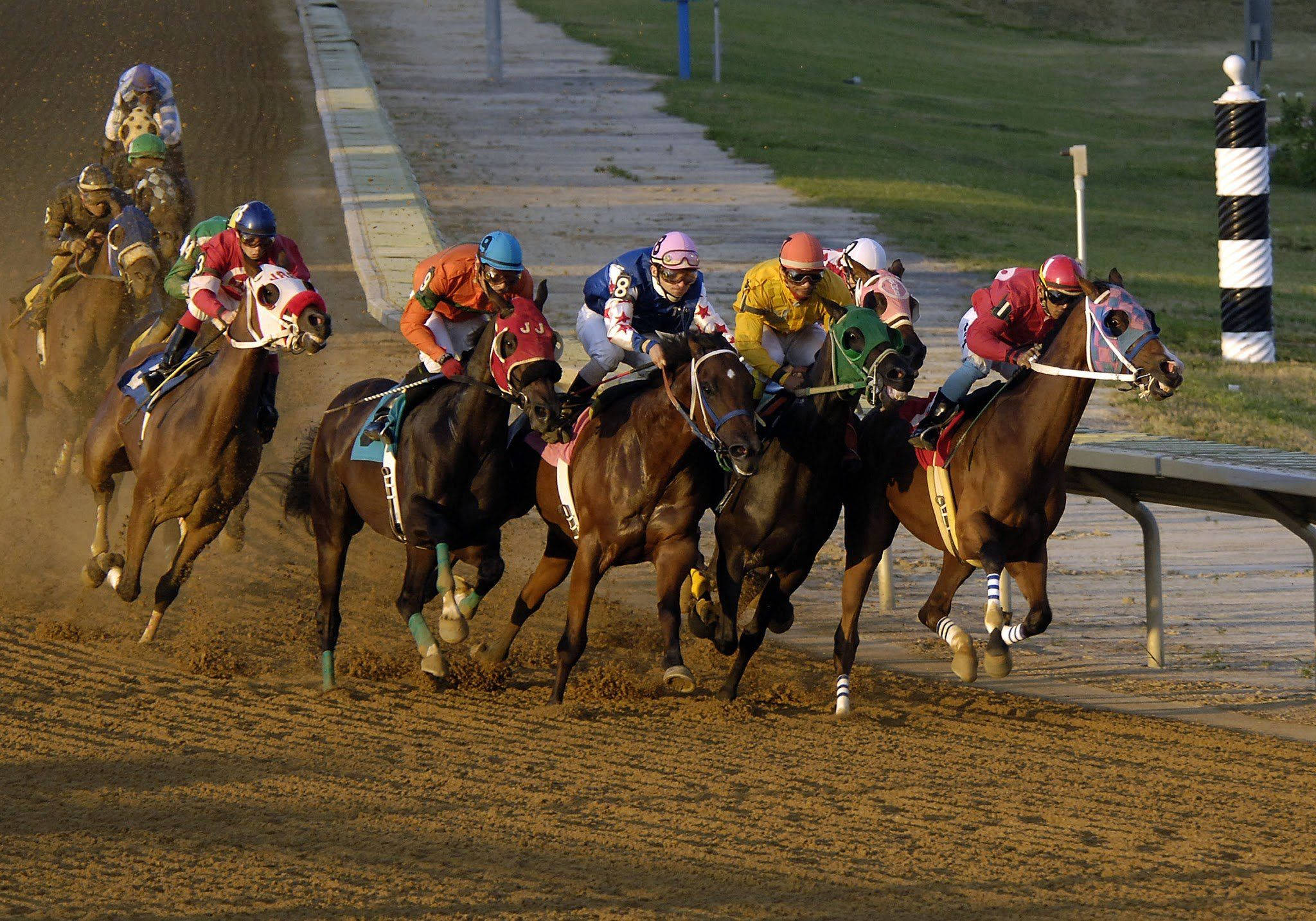 horse racing, highway, jockeys, Full HD Desktop Wallpaper