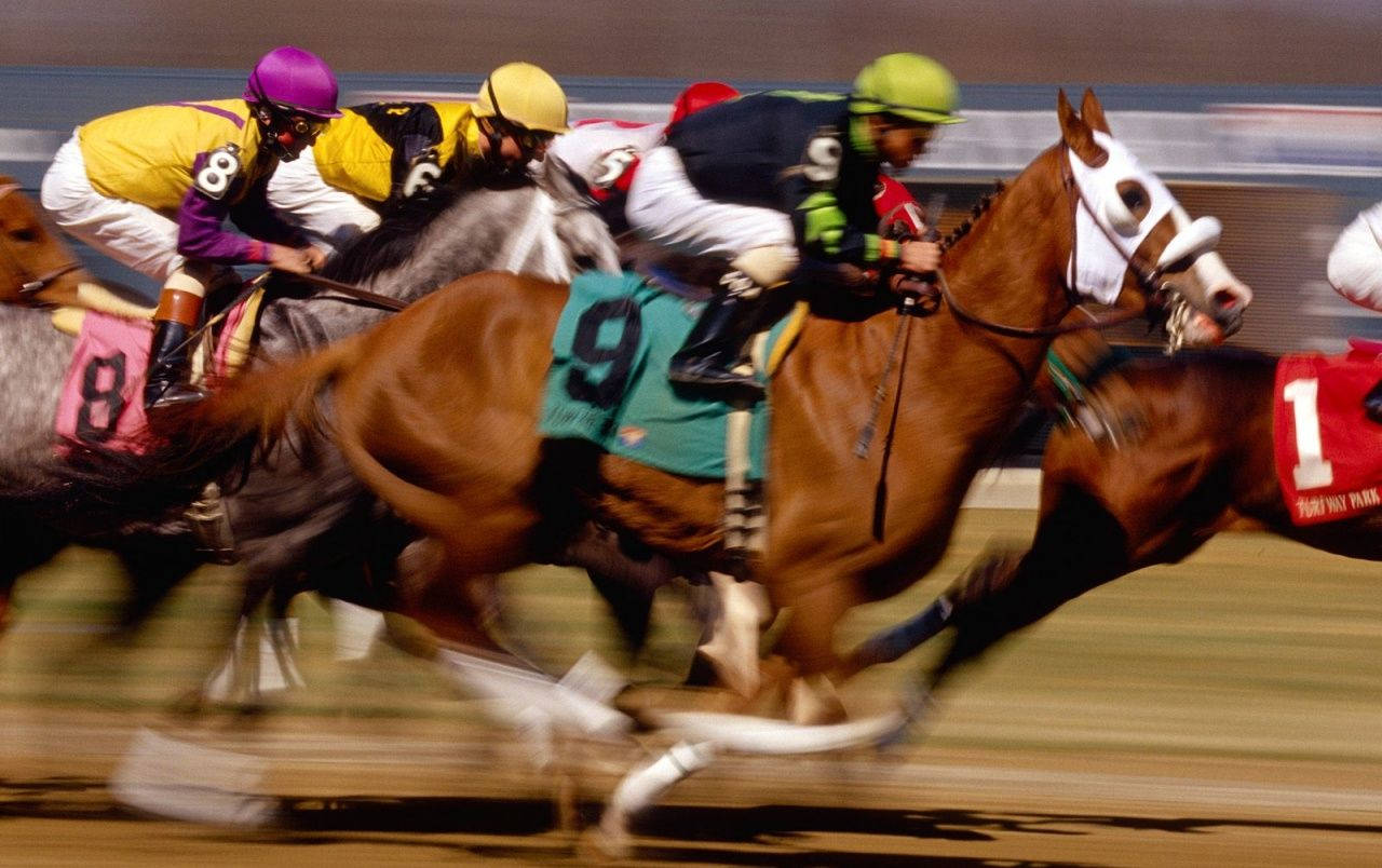 horse racing, jockeys, colorful silks, HD Desktop Wallpaper