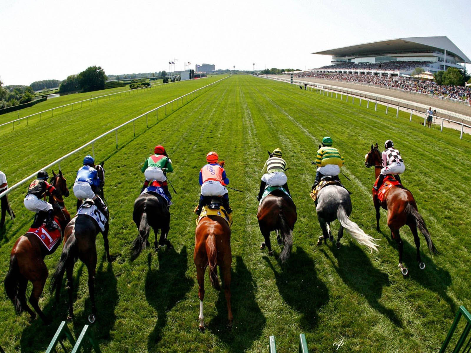 horse racing, long field, jockeys, HD Desktop Wallpaper