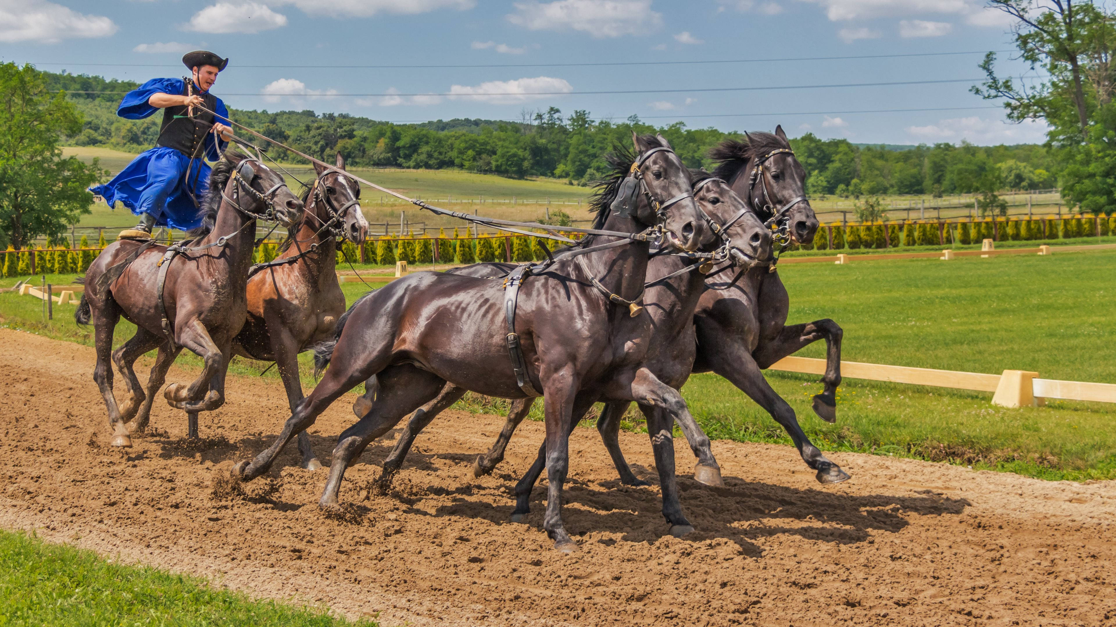 jockey in blue, four powerful dark horses, dirt track, 4K Desktop Wallpaper
