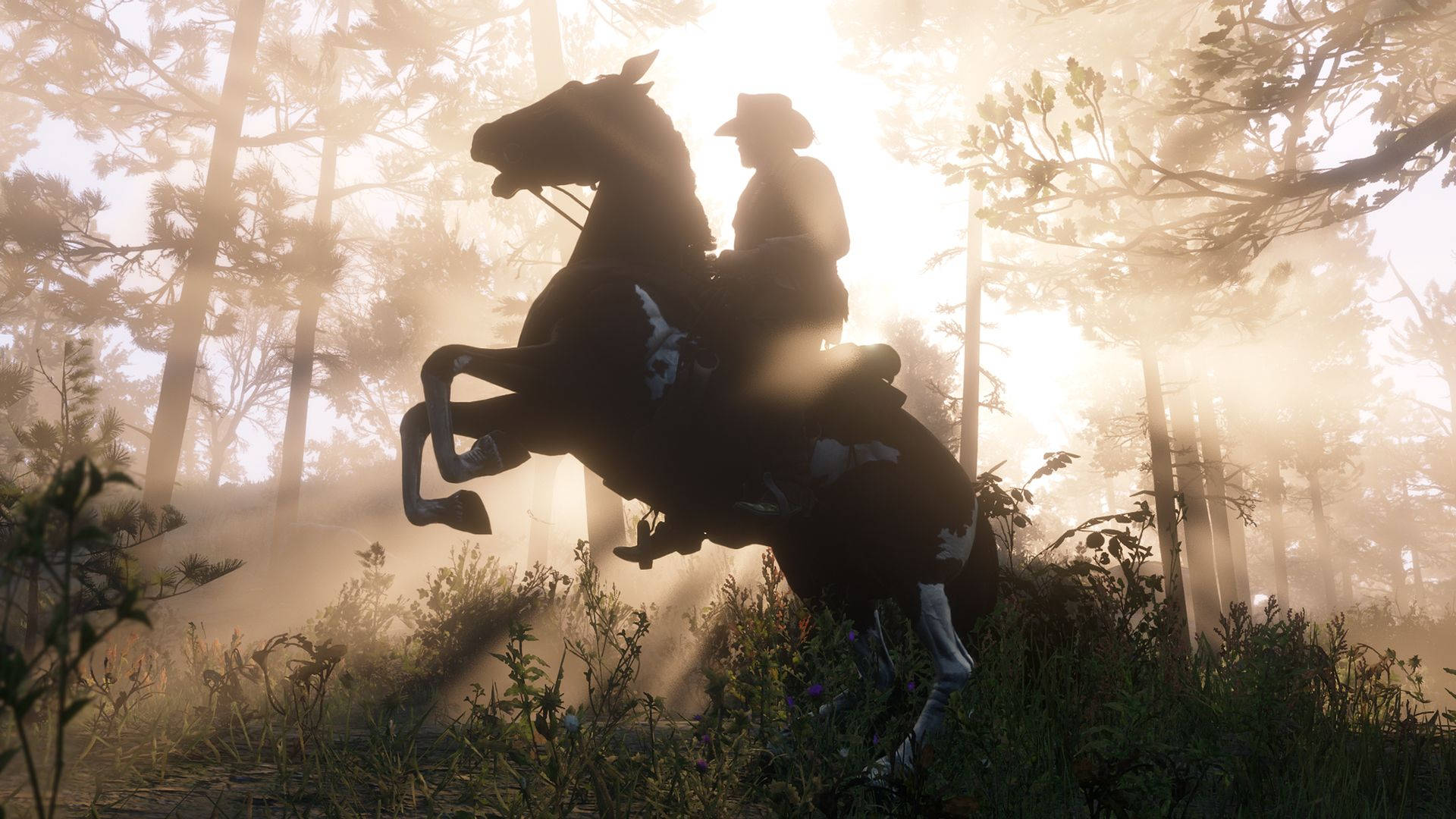 Red Dead Redemption 2, horse, cowboy, Full HD Desktop Wallpaper