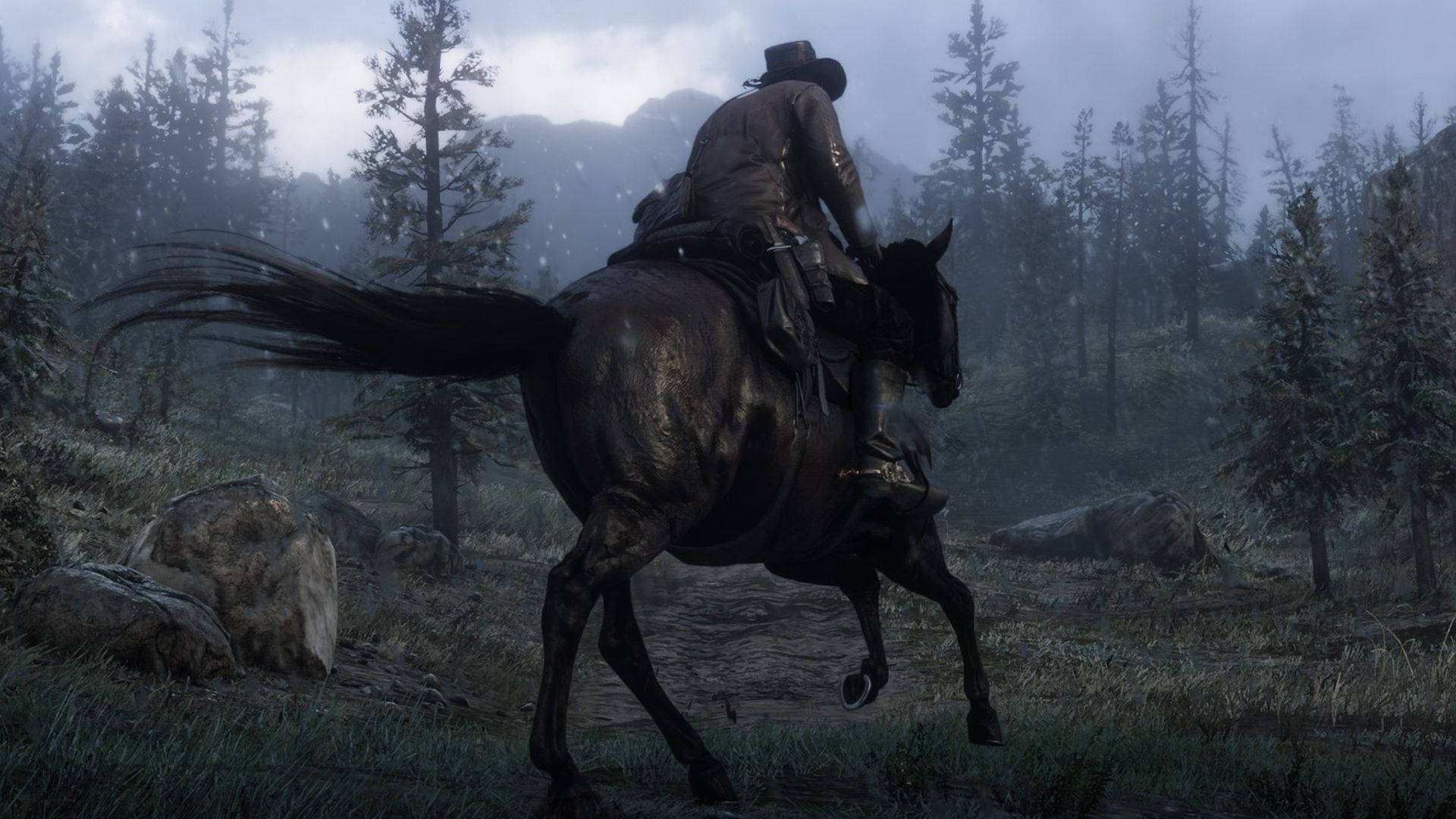 Red Dead Redemption 2, horse, cowboy, Full HD Desktop Wallpaper