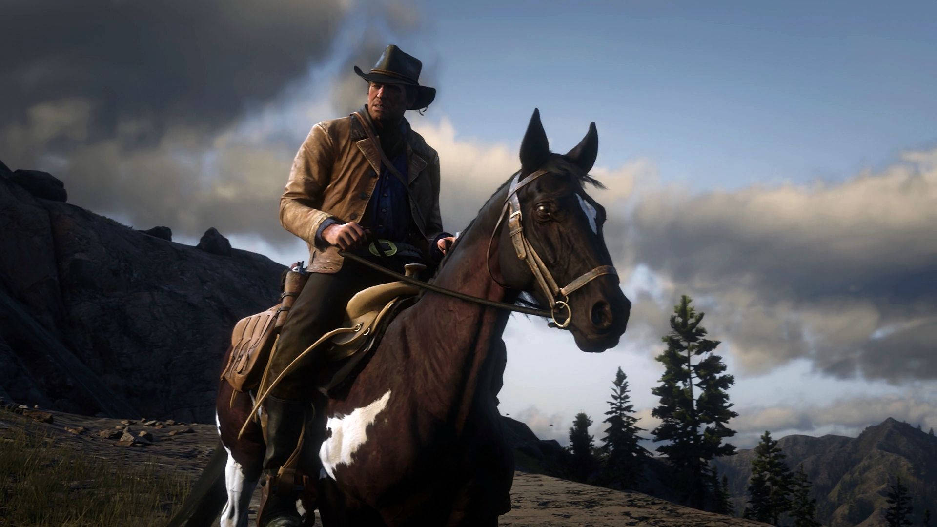 Horse Red Dead Redemption 2, cowboy, brown jacket, Full HD Desktop Wallpaper