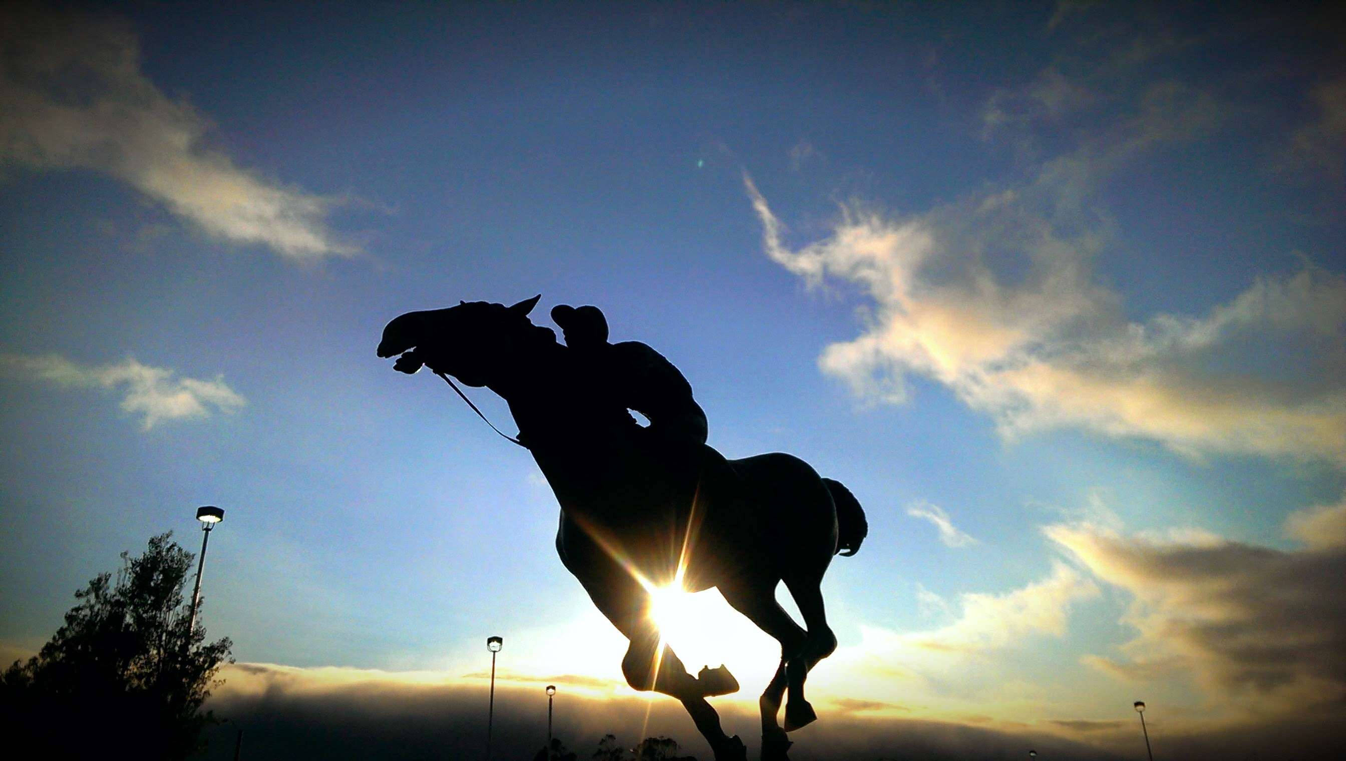 Horse Riding, silhouette, sunset, 2K Desktop Wallpaper