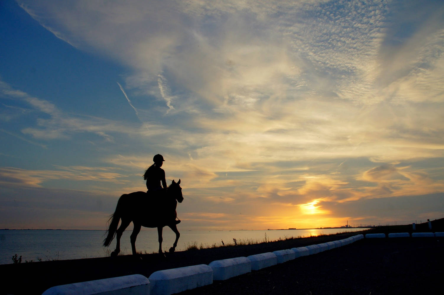 horse riding woman, silhouette, sunset, HD Desktop Wallpaper