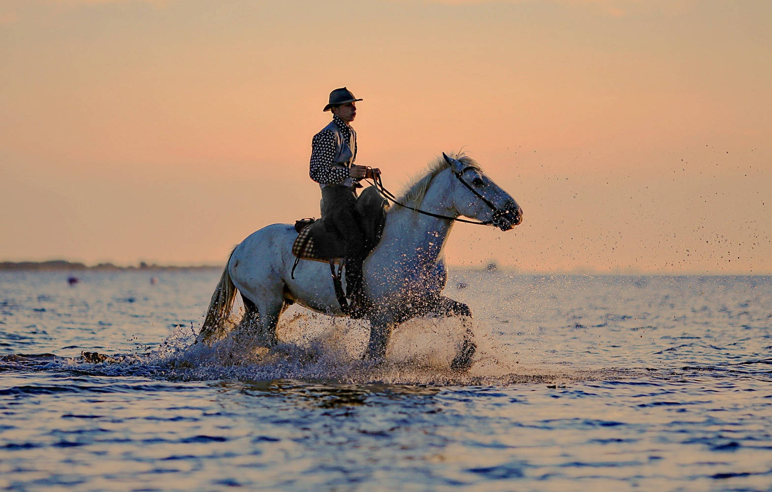 horse riding, sea water, sunset, HD Desktop Wallpaper