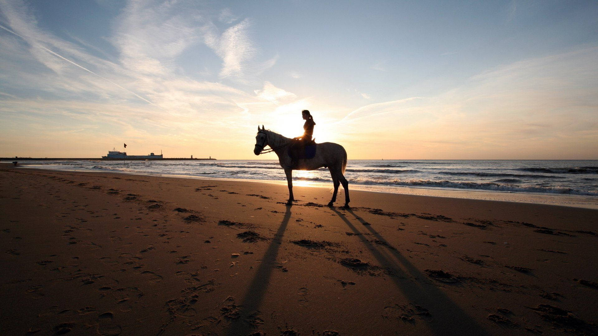 horse riding, beach, sunset, Full HD Desktop Wallpaper