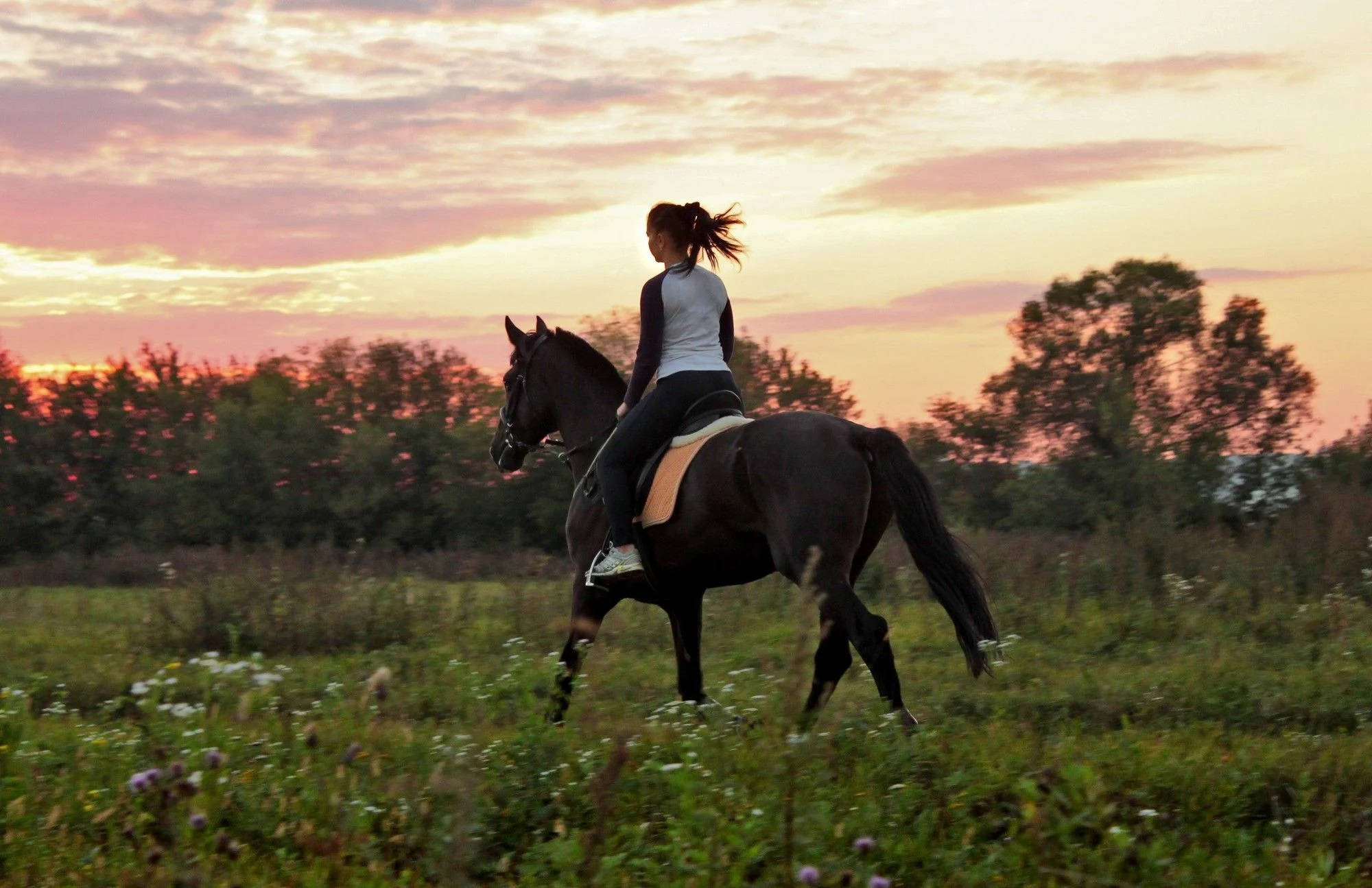horse riding woman, medieval village, sunset, Full HD Desktop Wallpaper
