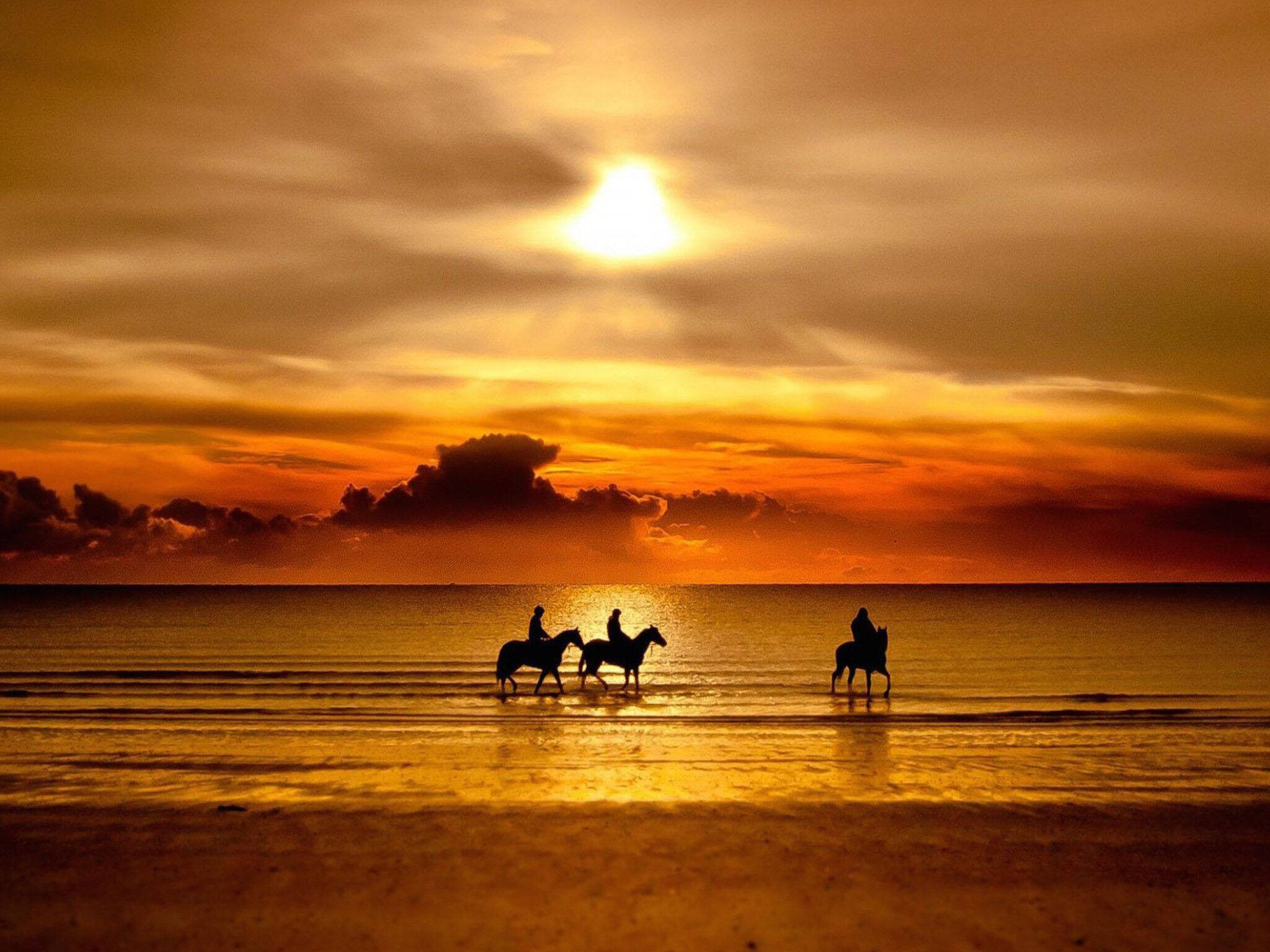 horse riding, romantic beach, sunset, Full HD Desktop Wallpaper