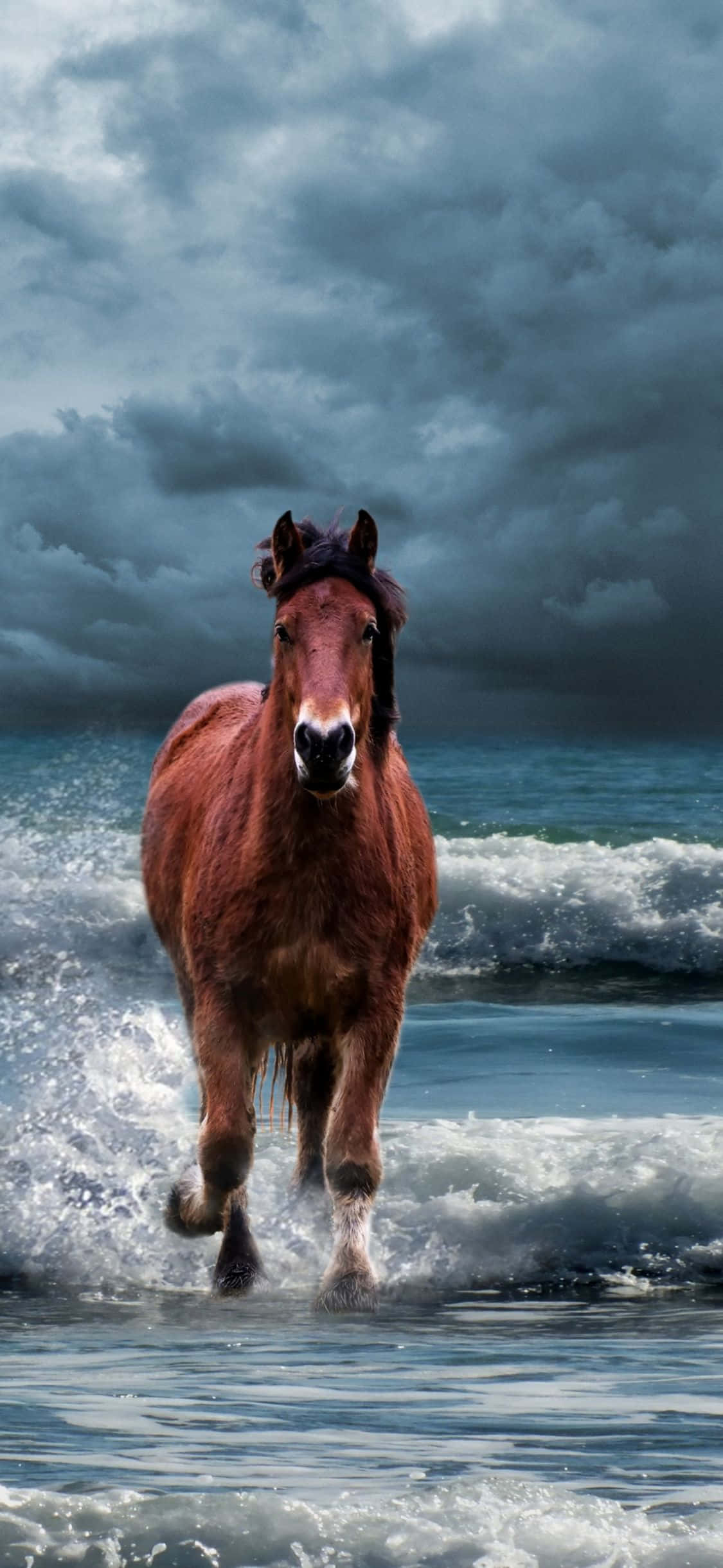 horse, ocean, foamy waves, Full HD Phone Wallpaper