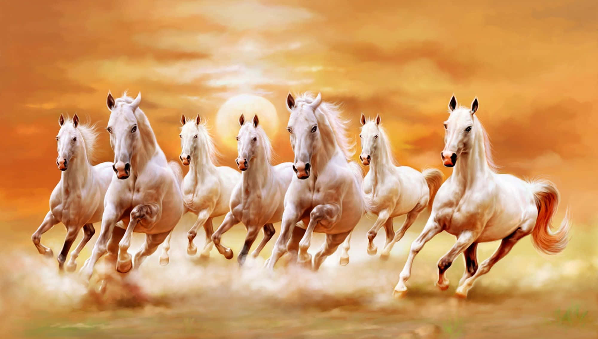 7 white horses, golden field, warm sunset sky, Full HD Desktop Wallpaper