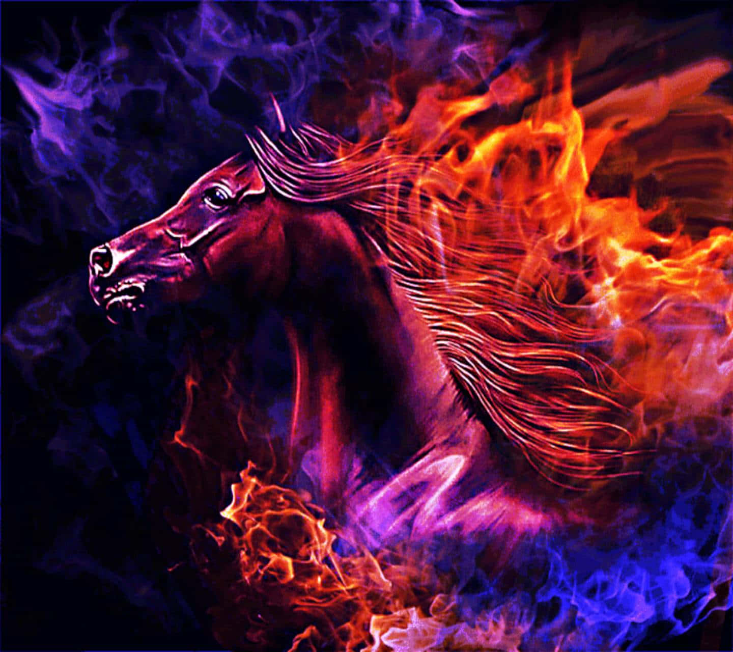 Red and Blue fire, fiery horse, glowing mane, HD Desktop Wallpaper