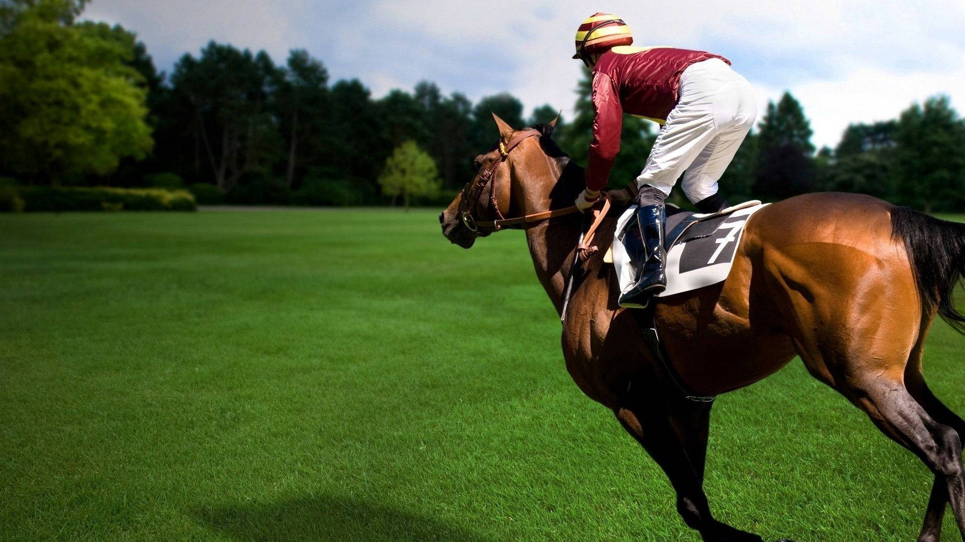 jockey, red and white racing gear, chestnut horse, Full HD Desktop Wallpaper