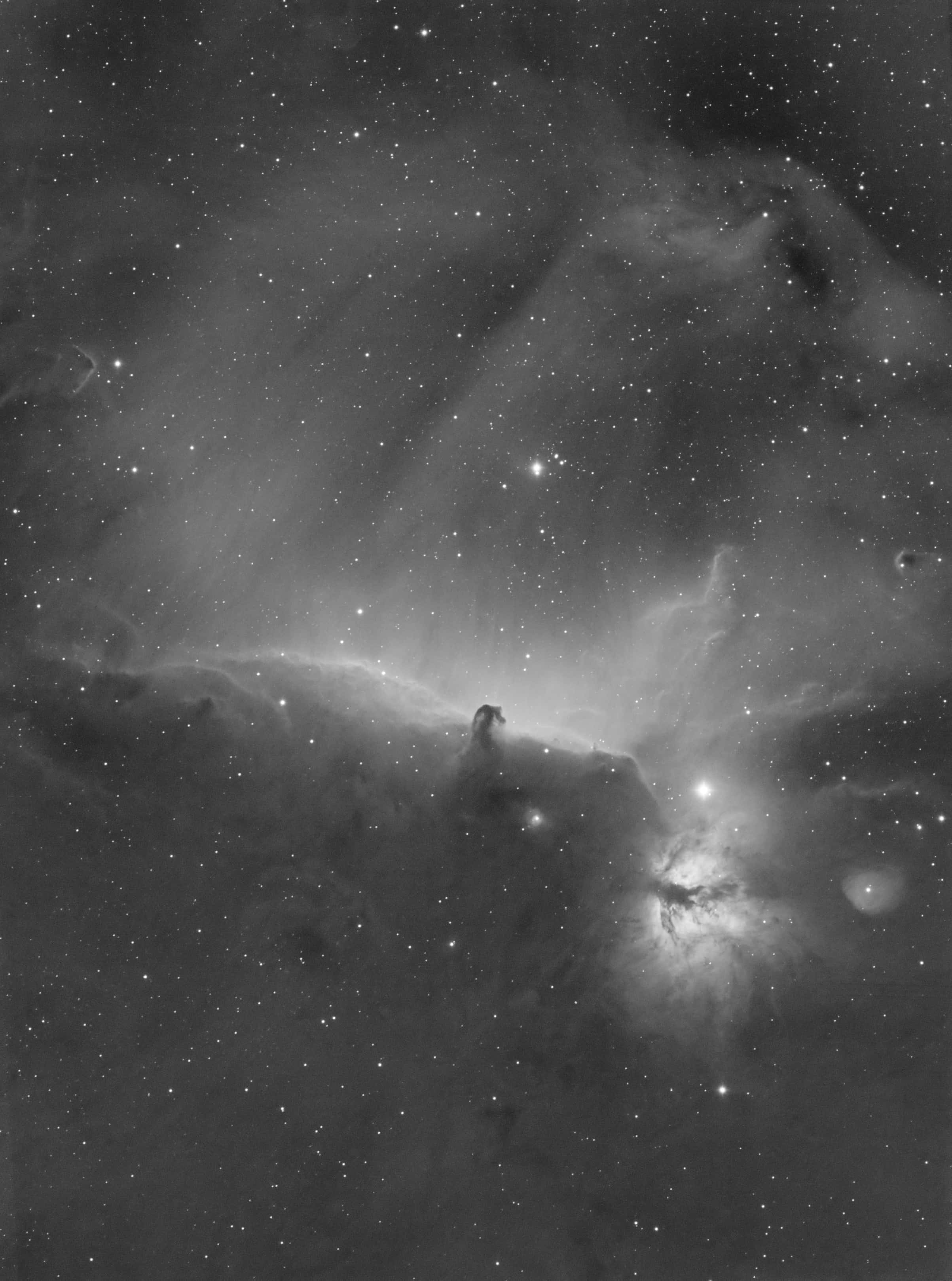 Horsehead Nebula, Night Sky, starfield, 2K Phone Wallpaper