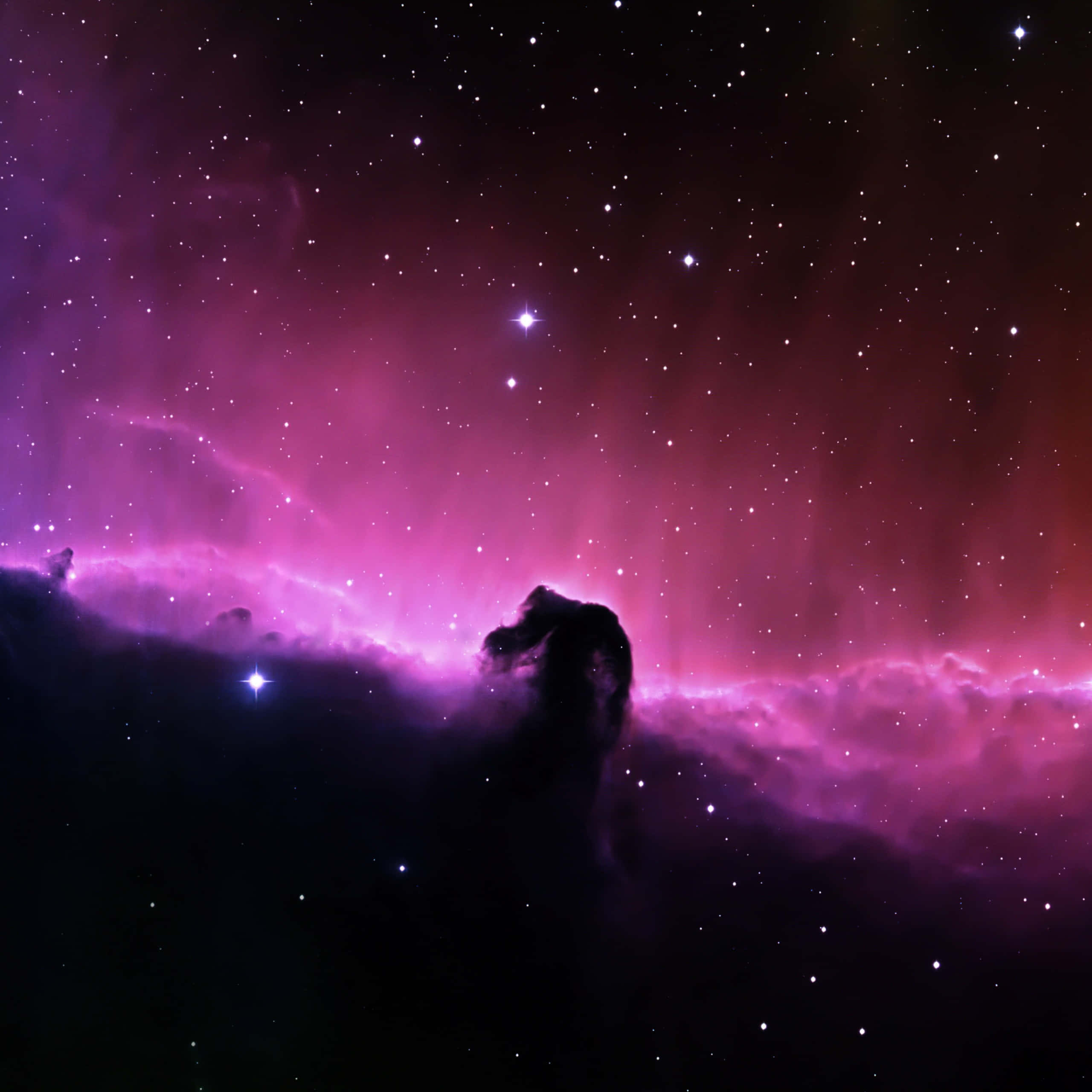 Horsehead Nebula, magenta, purple, 2K Desktop Wallpaper