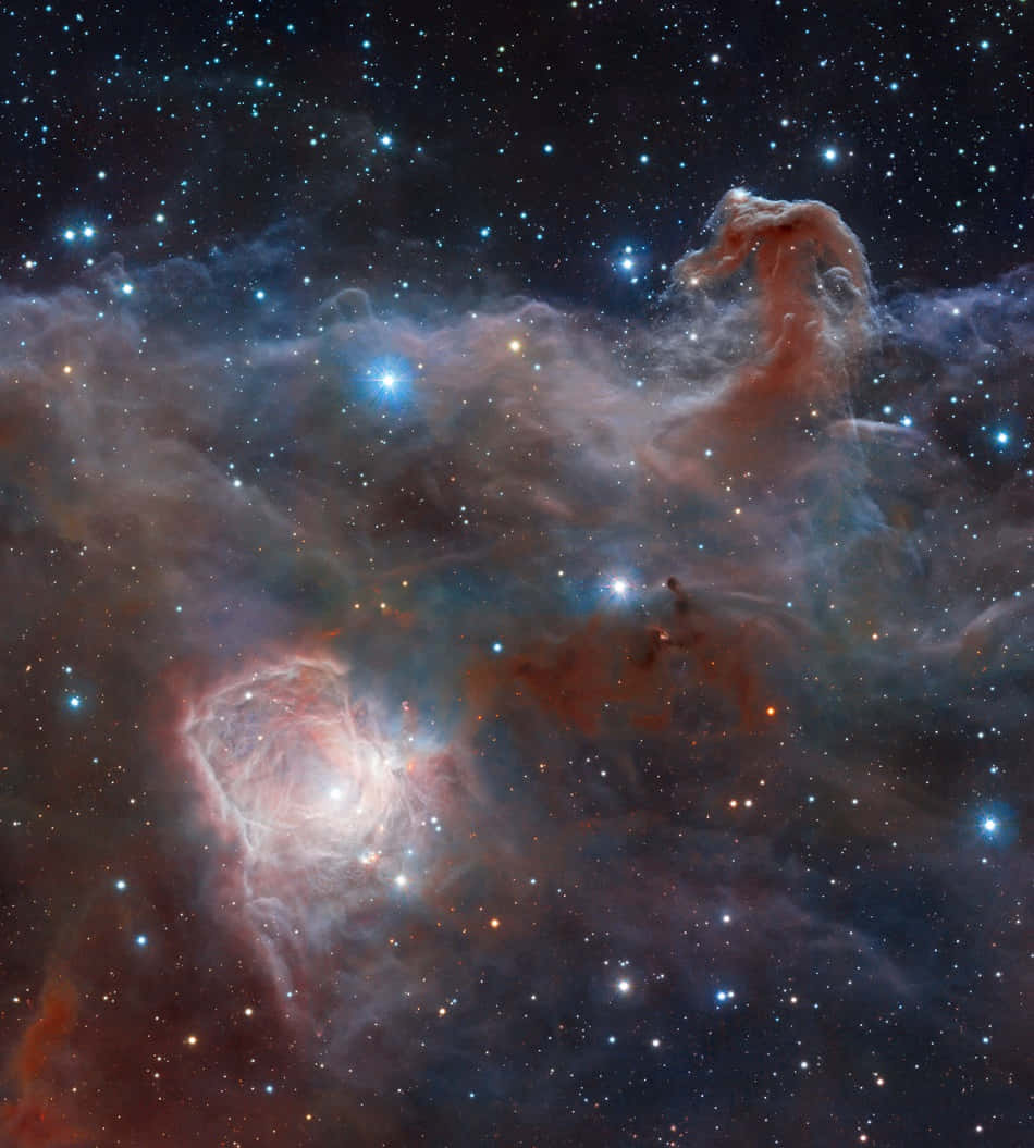 Horsehead Nebula, glowing red and blue gas clouds, bright stars, SD Phone Wallpaper