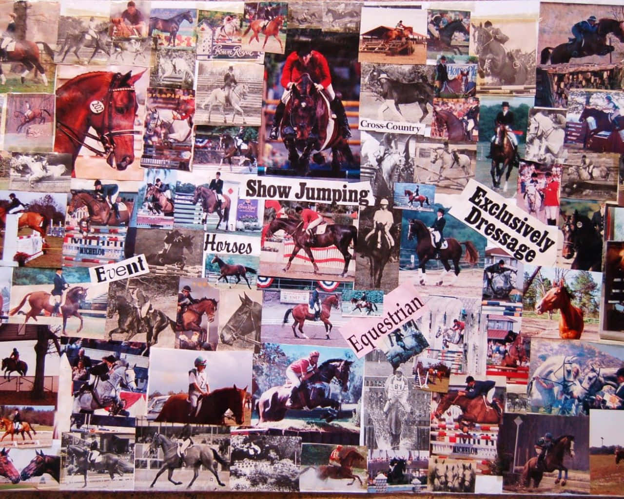 horse, rider, show jumping, HD Desktop Wallpaper