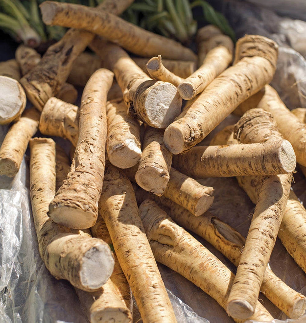 fresh horseradish, pale yellow parsnips, rough textured skins, SD Phone Wallpaper