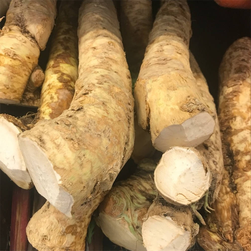 Horseradish, vegetable pile, parsnips, SD Desktop Wallpaper