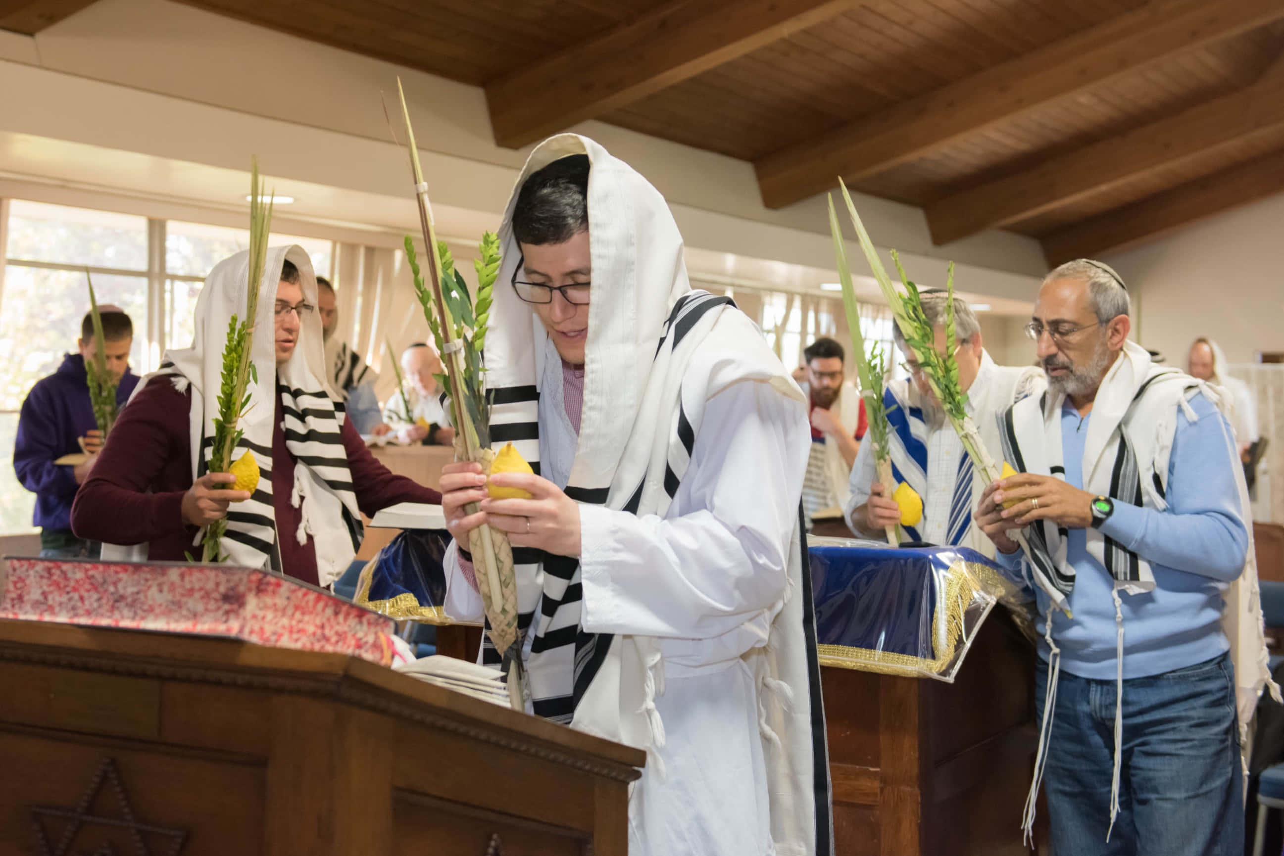 Hoshana Rabbah, lulav, etrog, 2K Desktop Wallpaper