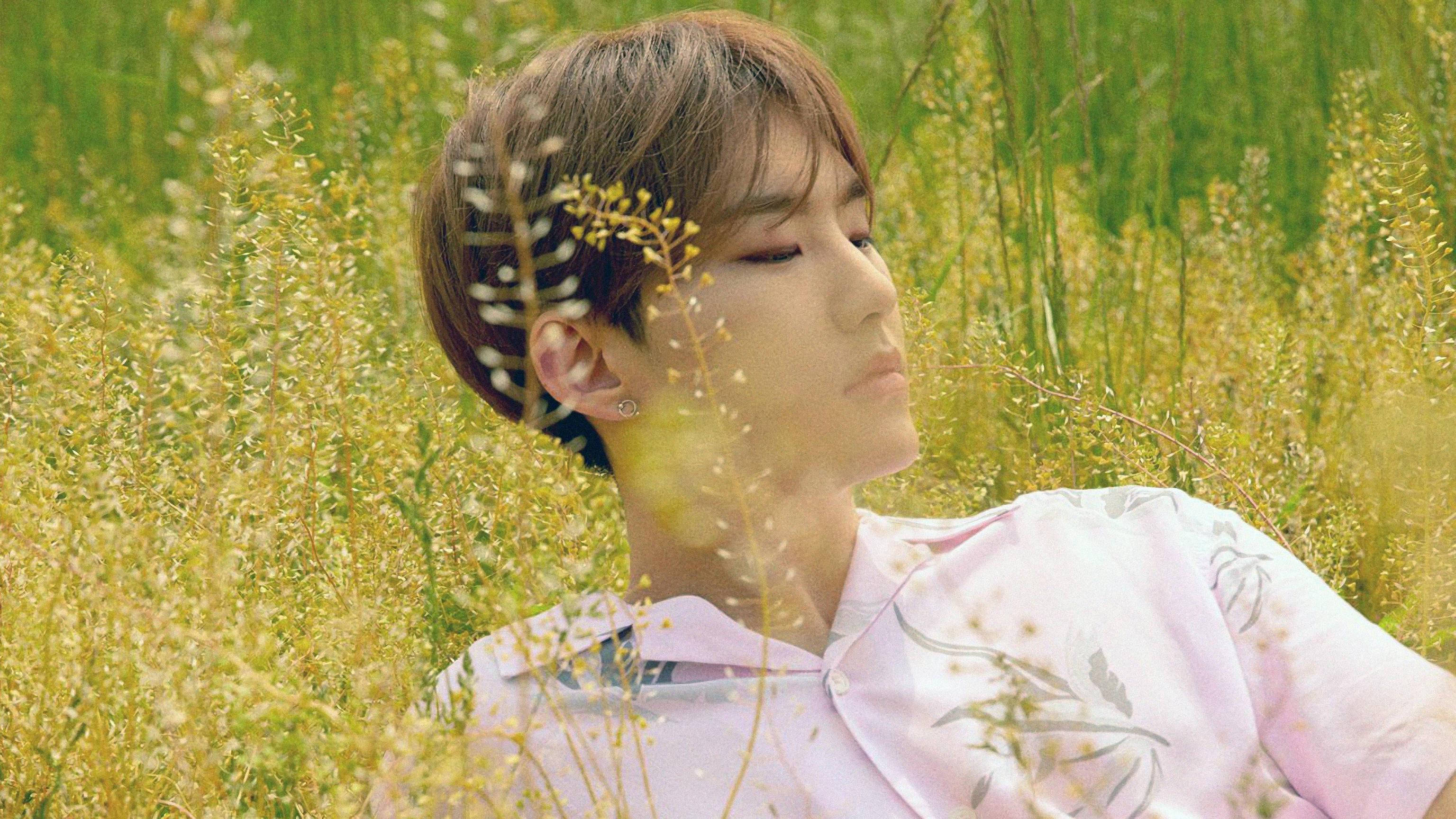 Hoshi, side view, sunlit field, 2K Desktop Wallpaper