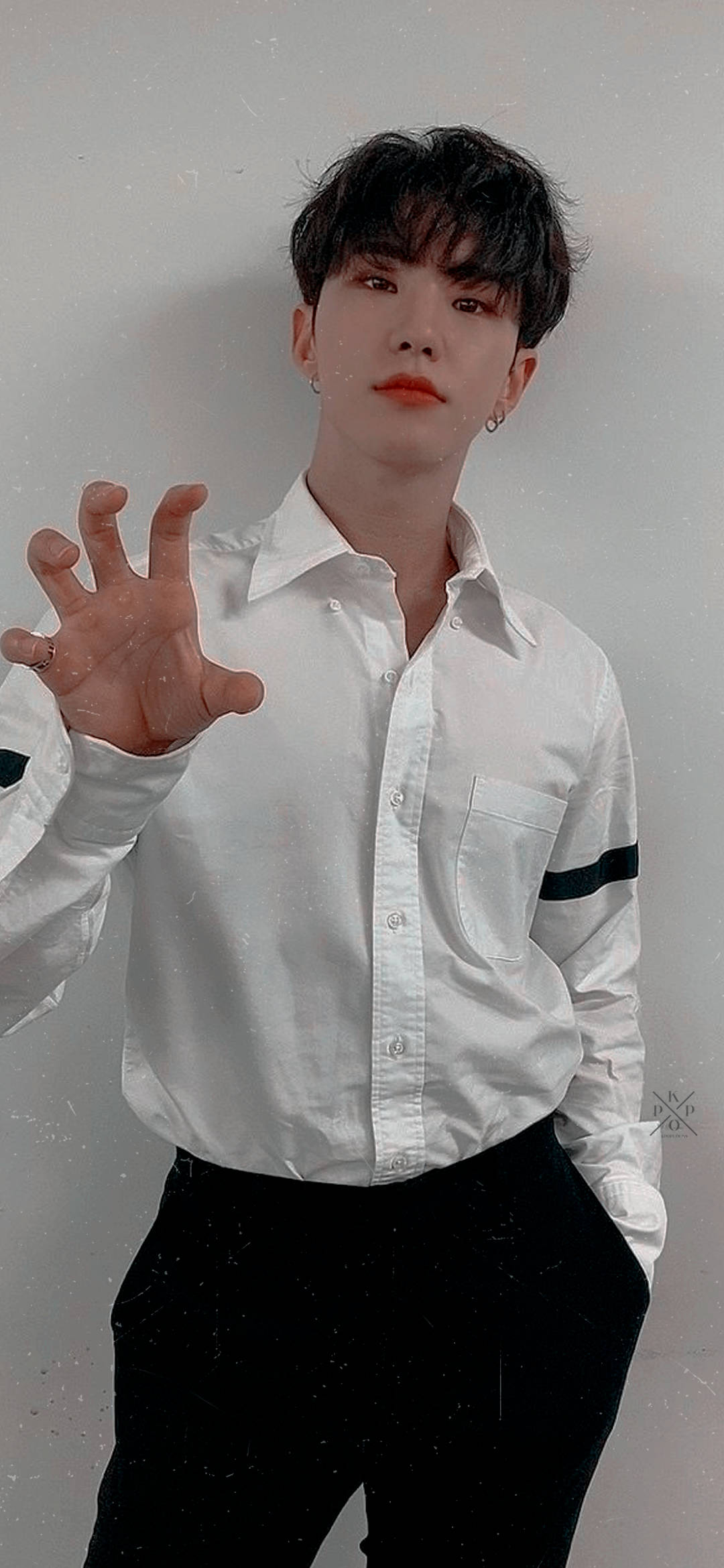 Hoshi, white button-up shirt, black pants, Full HD Phone Wallpaper
