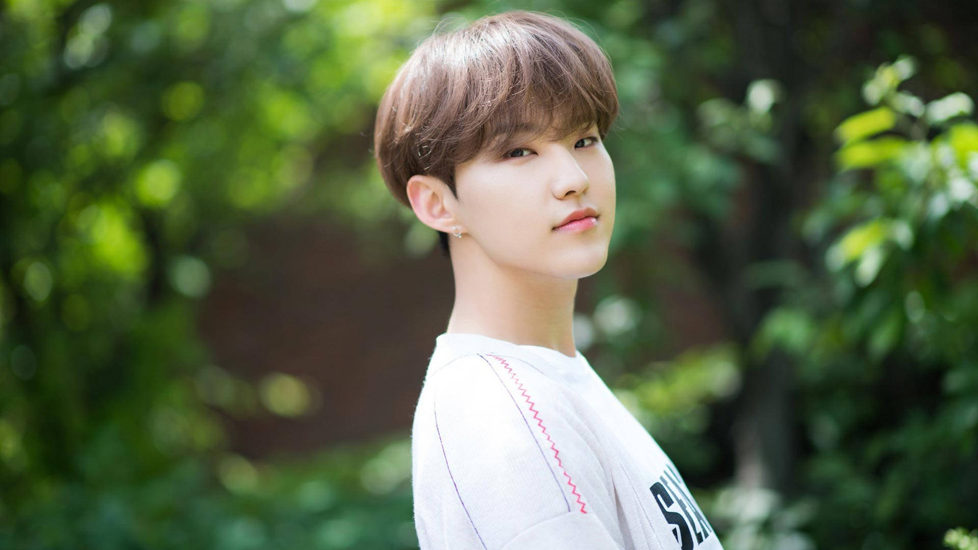 Hoshi, bowl cut hairstyle, sunlit green forest, Full HD Desktop Wallpaper
