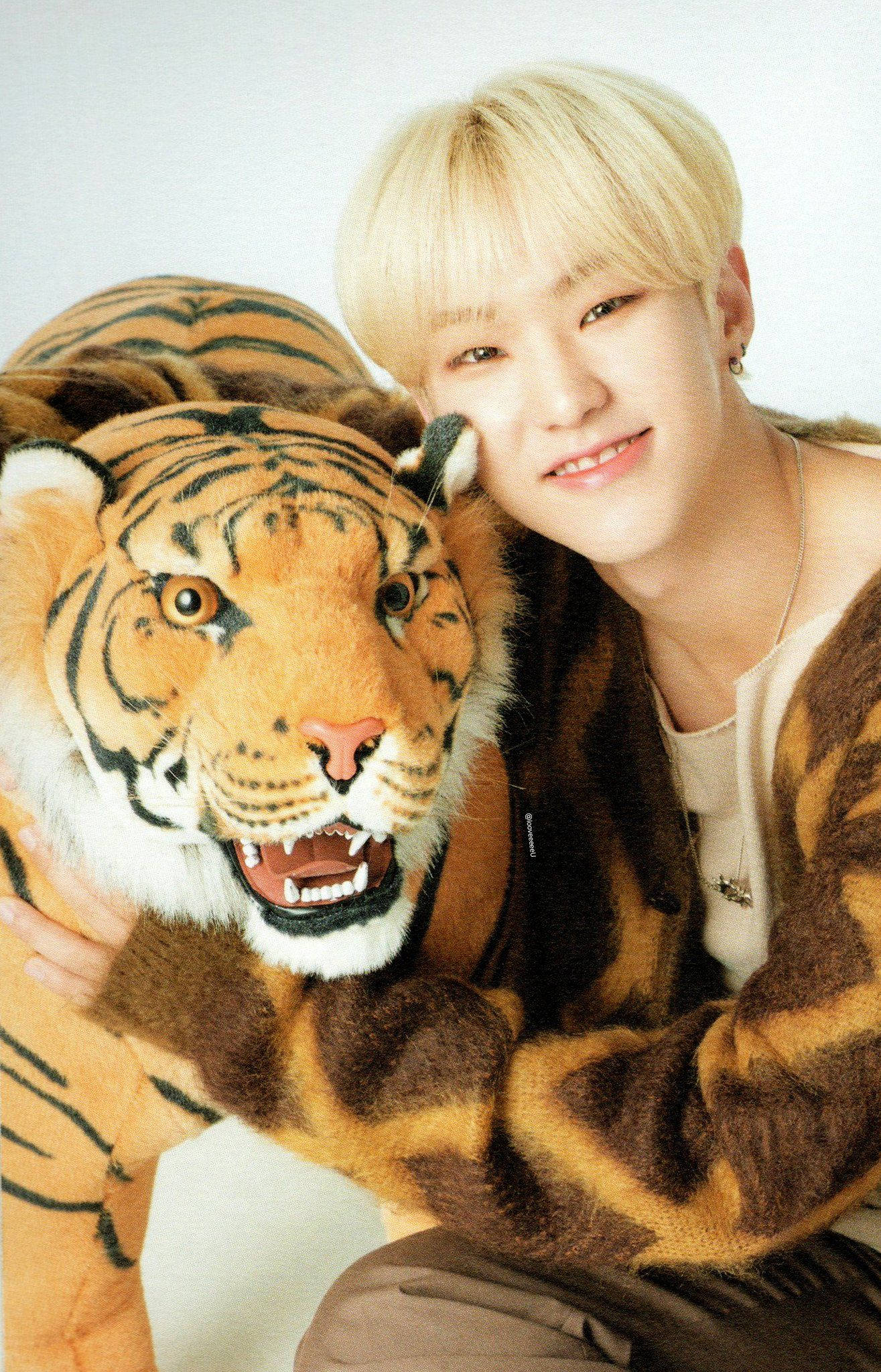 Hoshi, cute horanghae, blonde hair, Full HD Phone Wallpaper