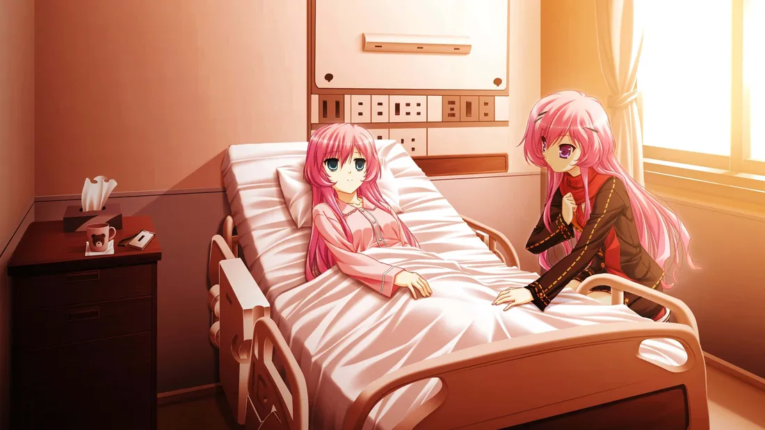 Hospital Bed