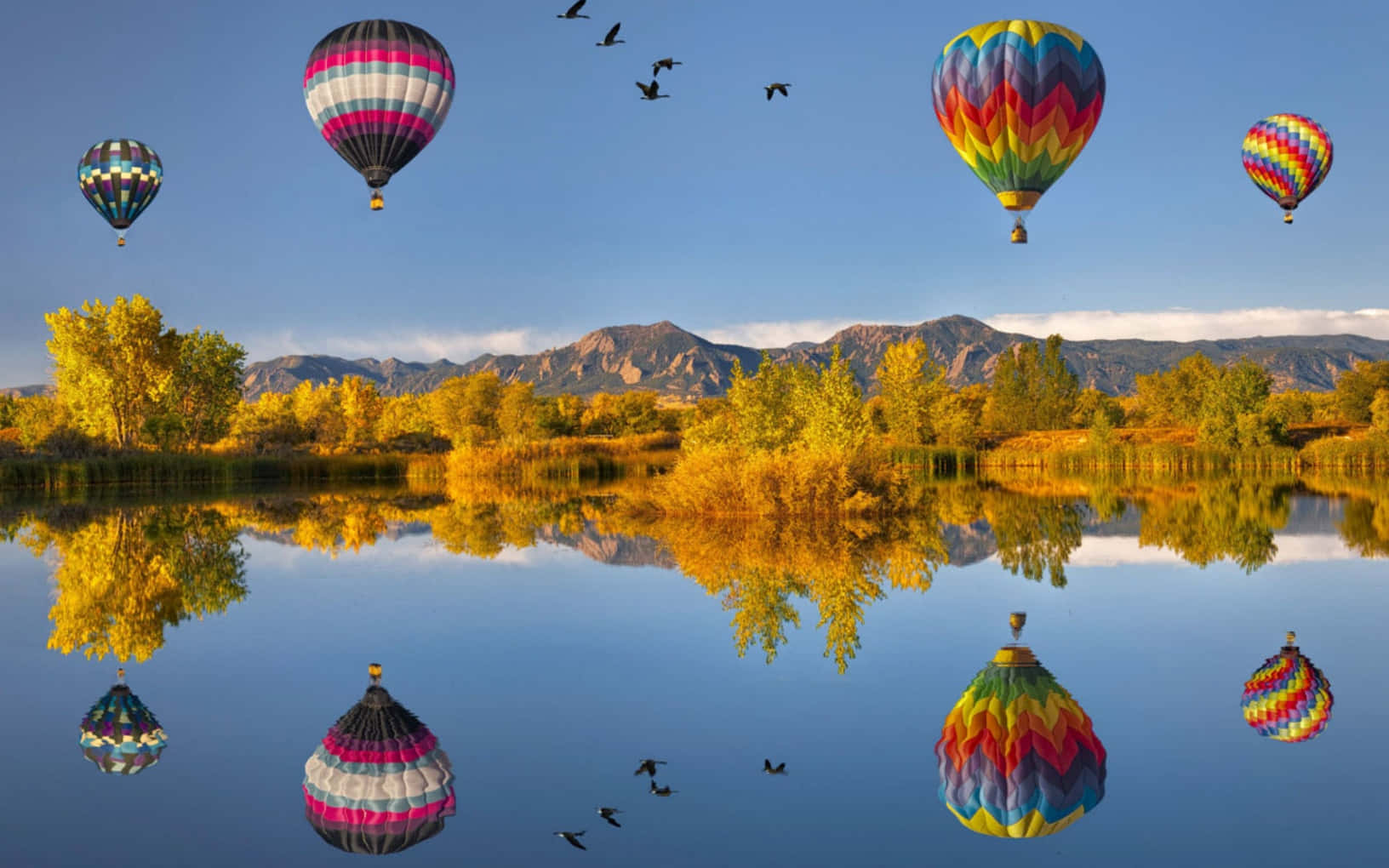 hot air balloons, calm lake, autumn trees, HD Desktop Wallpaper