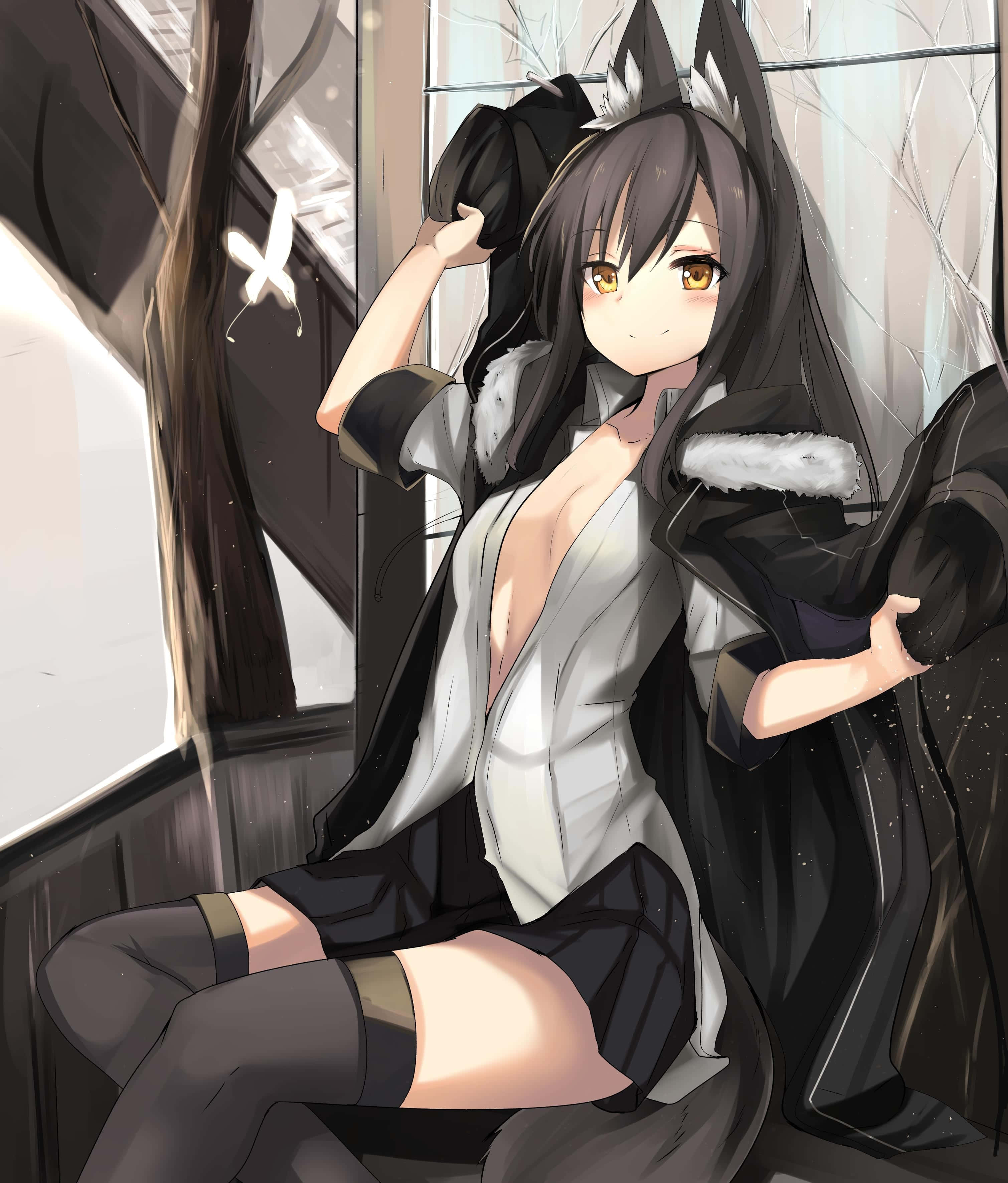 anime girl, wolf ears, black coat, 2K Phone Wallpaper