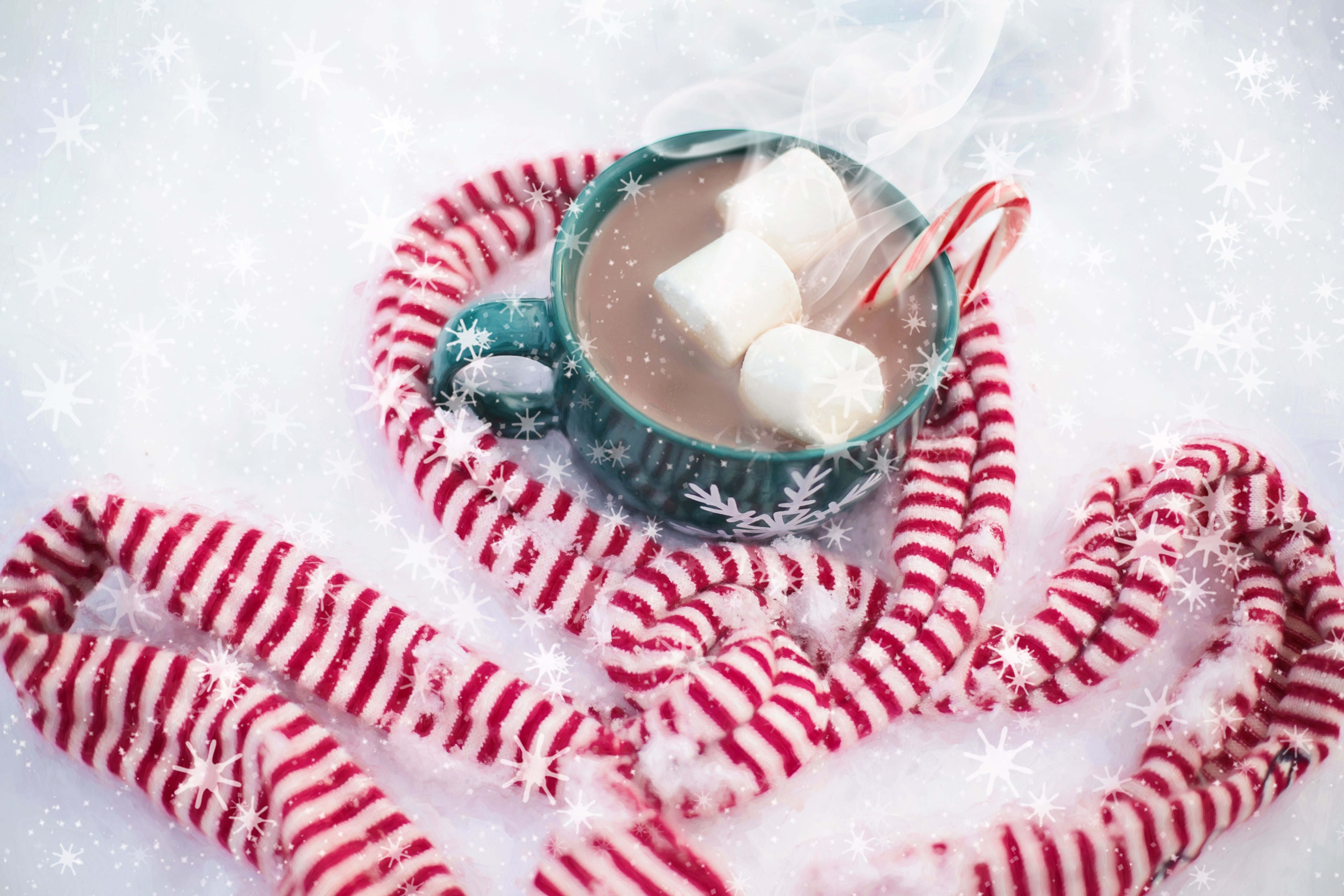 hot chocolate, mug, marshmallows, 5K Desktop Wallpaper
