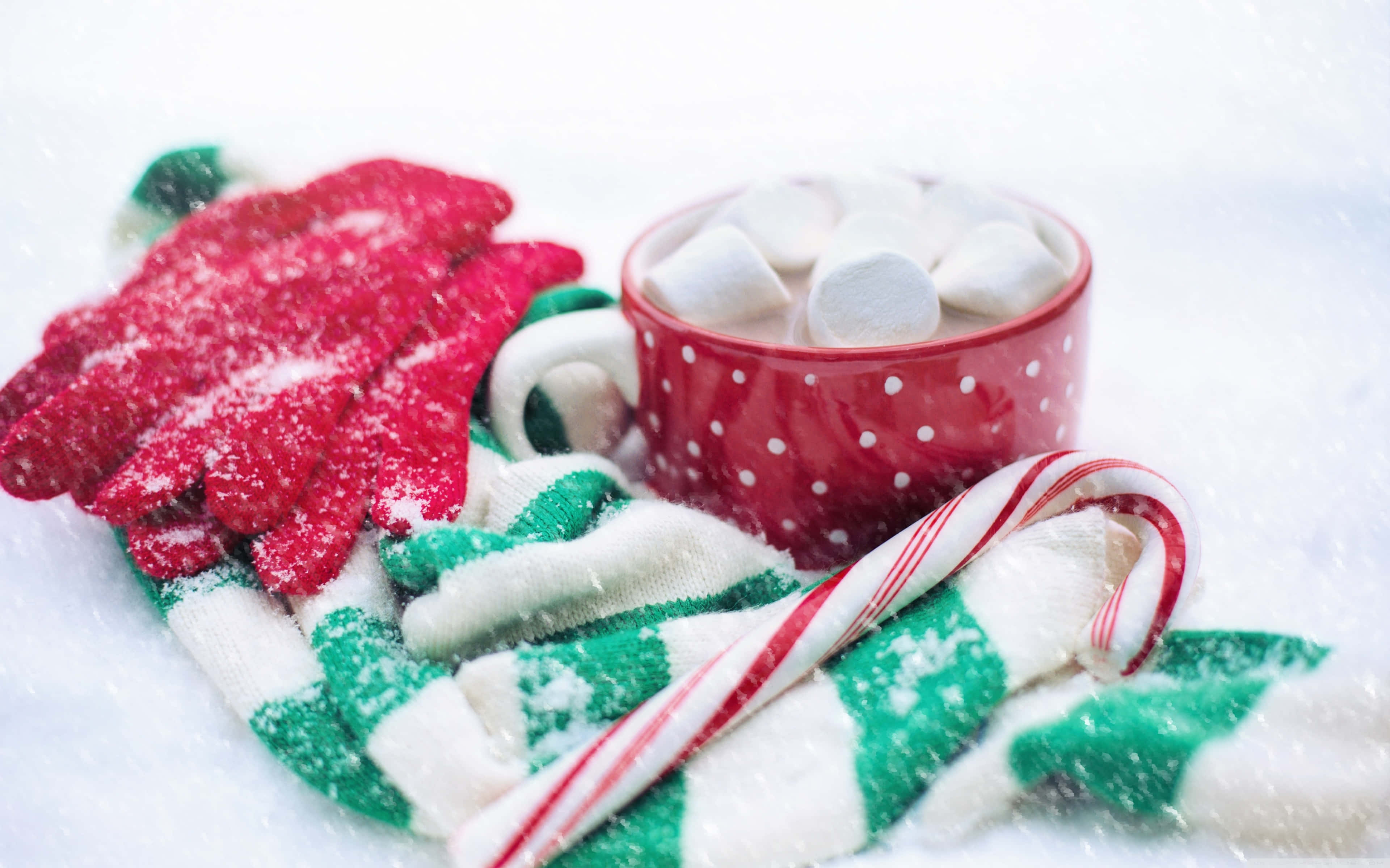 Hot Chocolate, red mug, hot cocoa, 4K Desktop Wallpaper