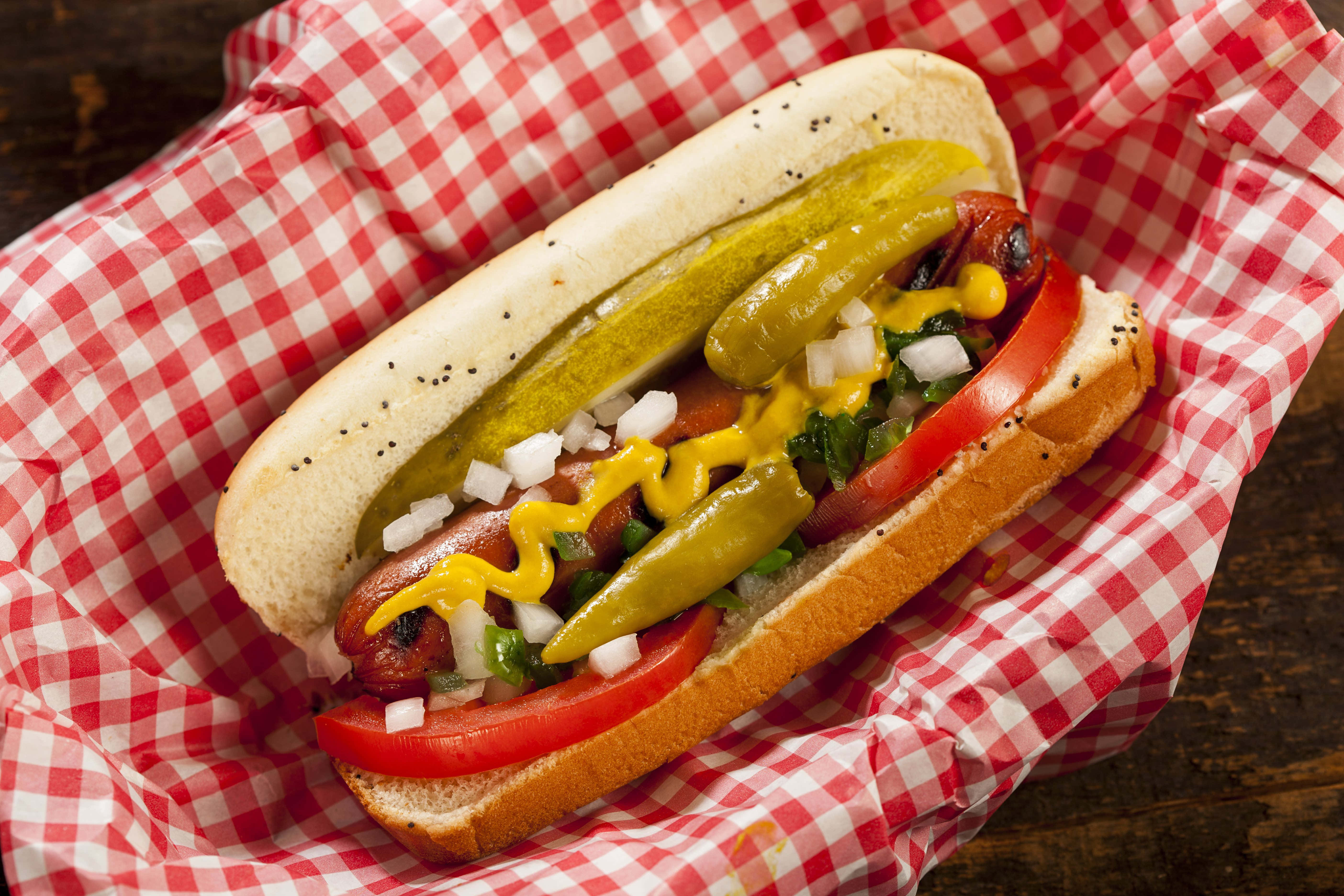classic hot dog, poppy seed bun, mustard, 5K Desktop Wallpaper