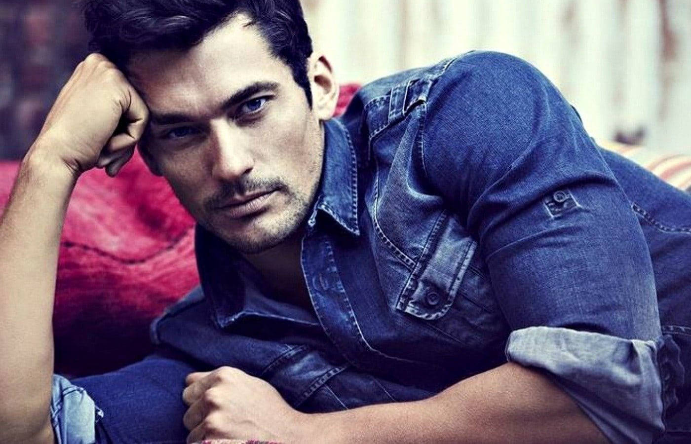 denim polo, red cushioned background, handsome man, HD Desktop Wallpaper