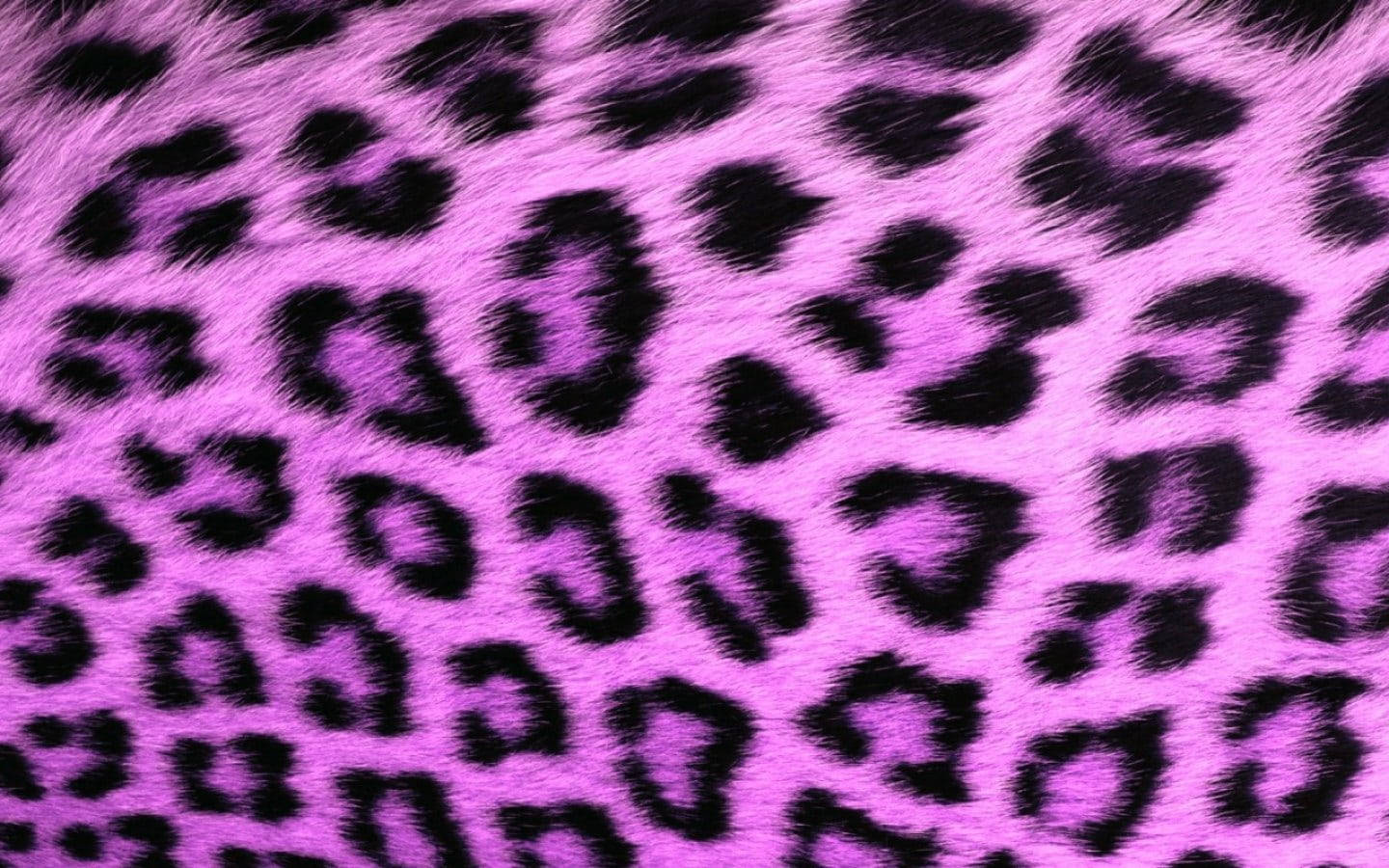 Vibrant pink faux fur, bold black leopard spots, leopard print, HD Desktop Wallpaper