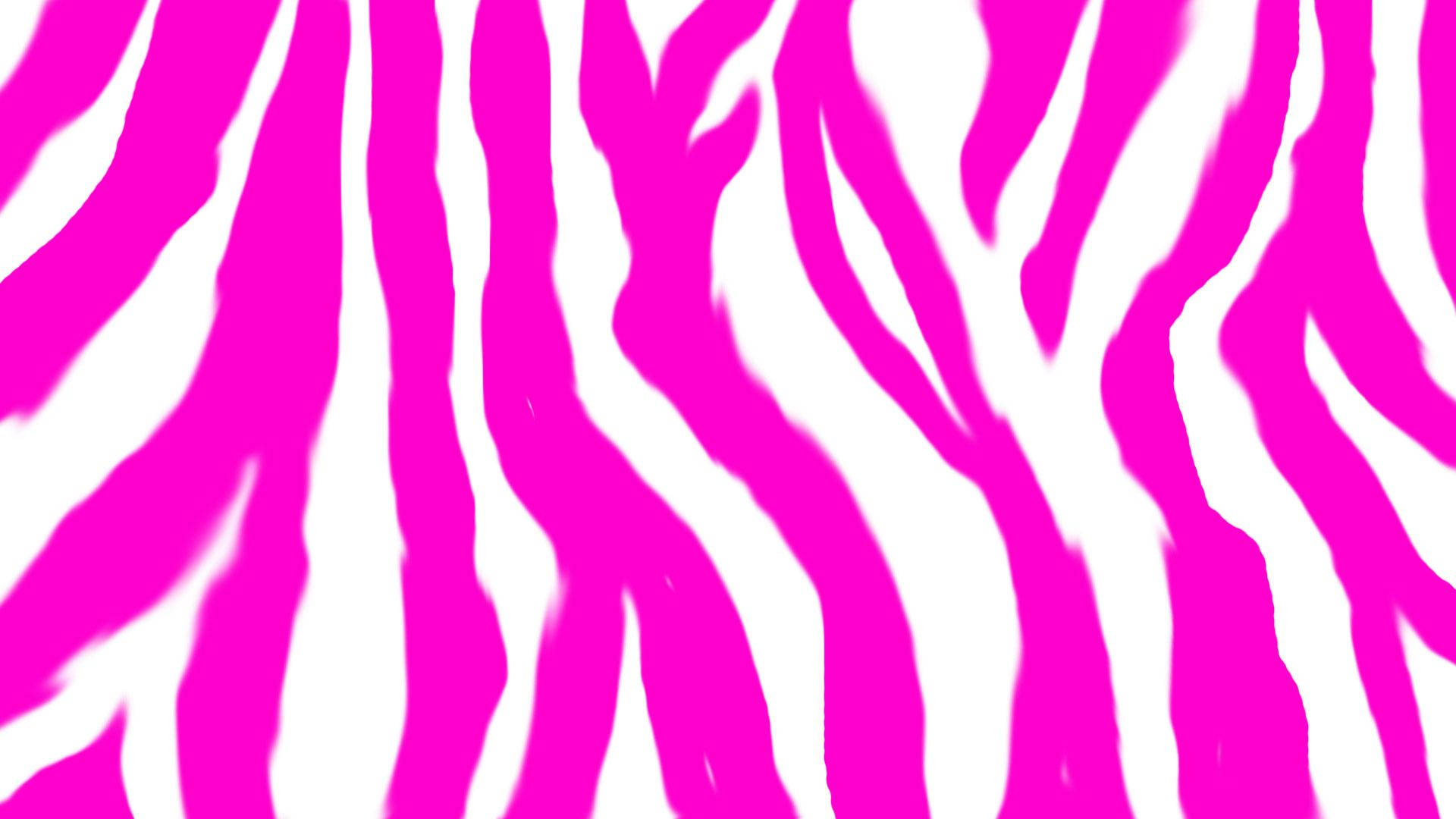 Hot Pink, white, zebra print, Full HD Desktop Wallpaper