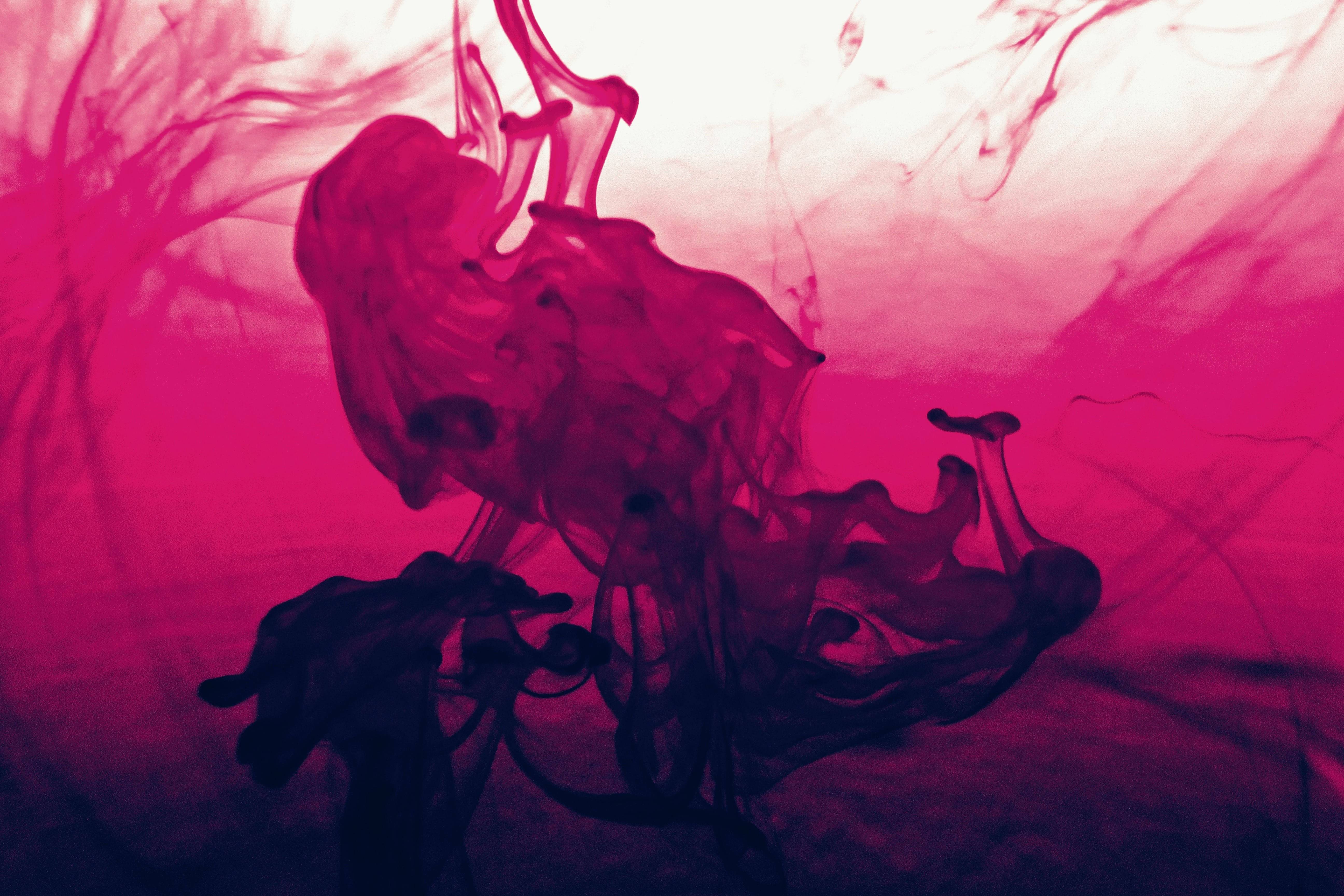 hot pink liquid drops, vivid magenta ink, gradient background, 5K Desktop Wallpaper