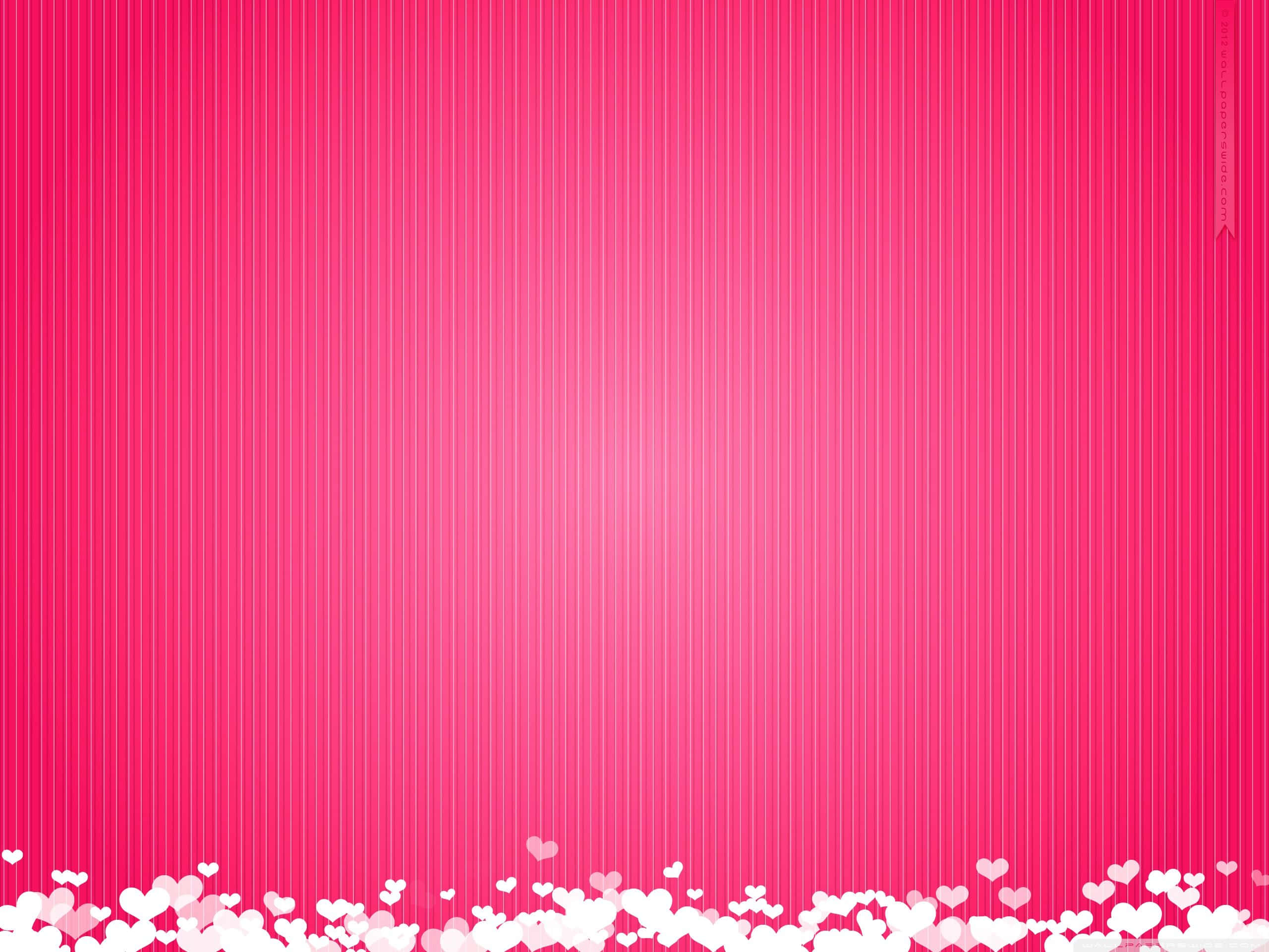 Hot Pink, Valentine Day, pink vertical striped background, 2K Desktop Wallpaper