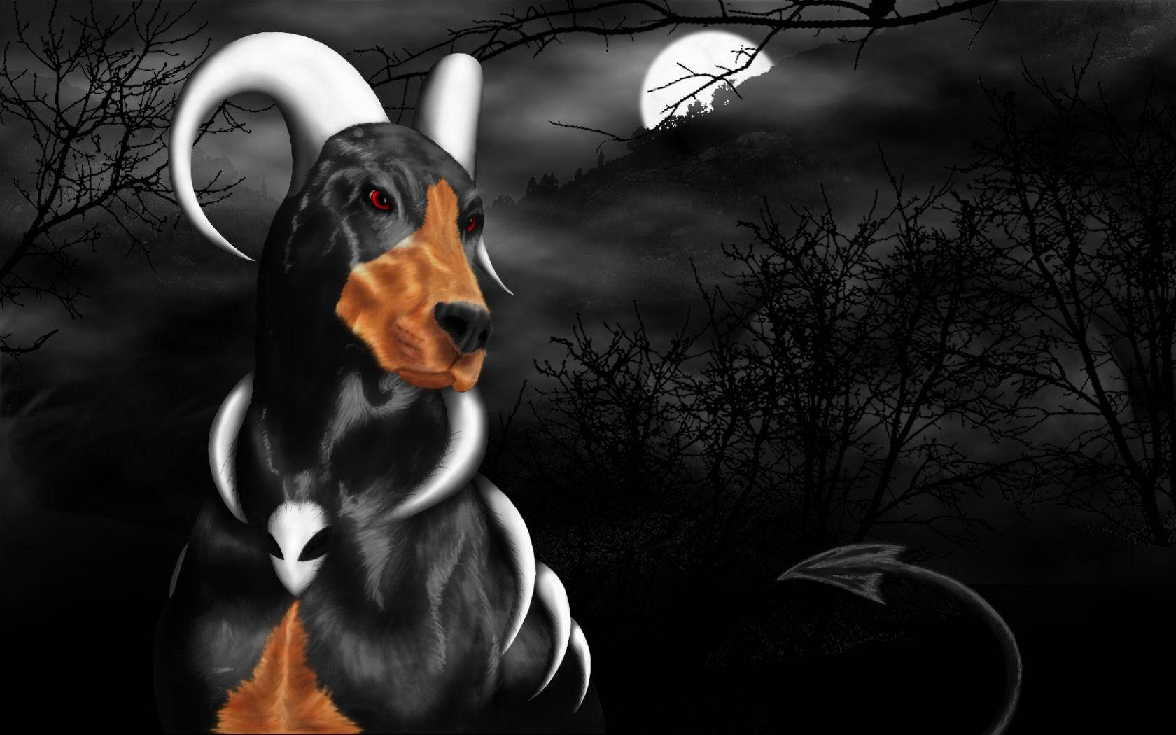 Houndoom, full moon, spooky forest, HD Desktop Wallpaper