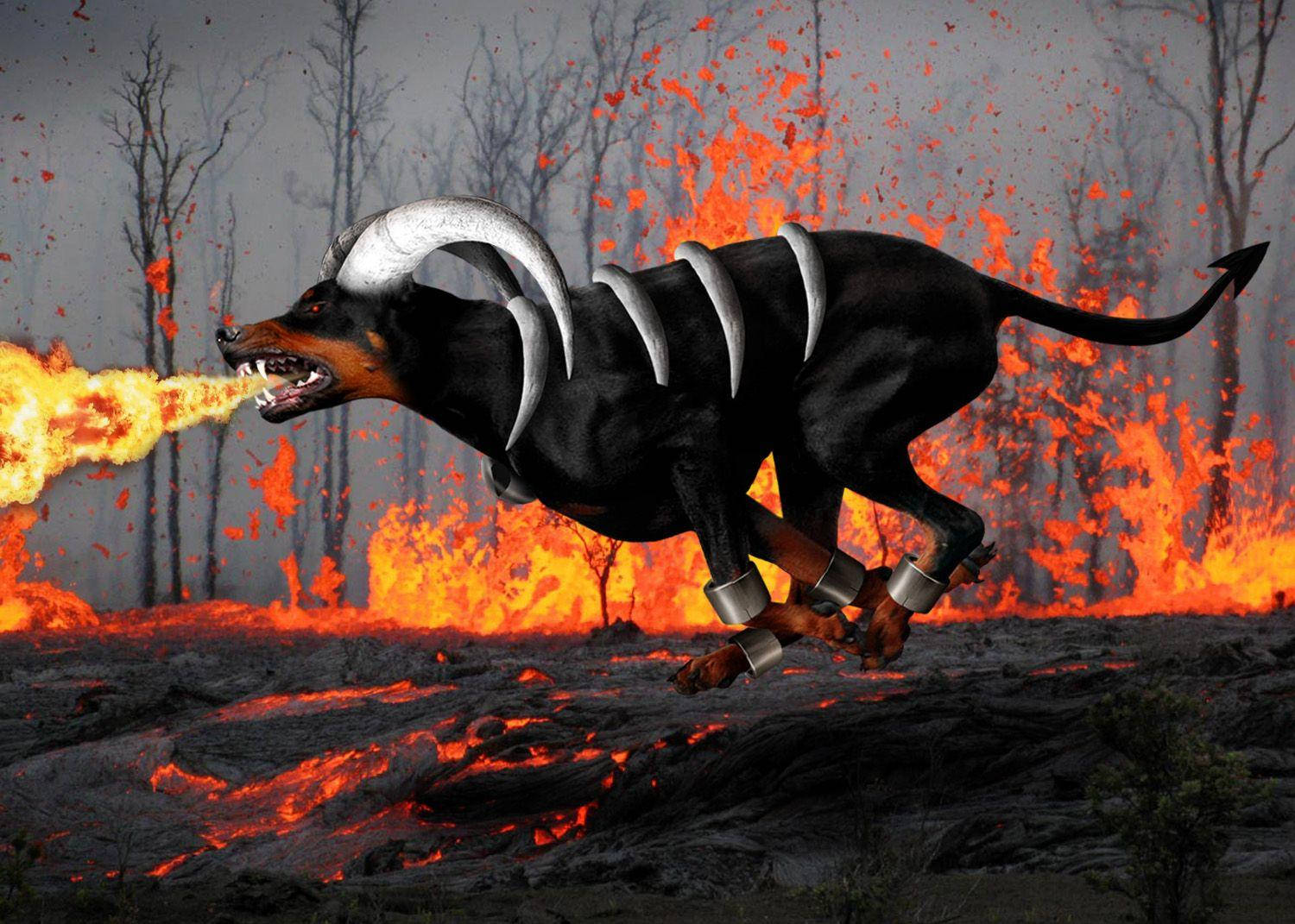 Houndoom, black dog, silver horns, HD Desktop Wallpaper